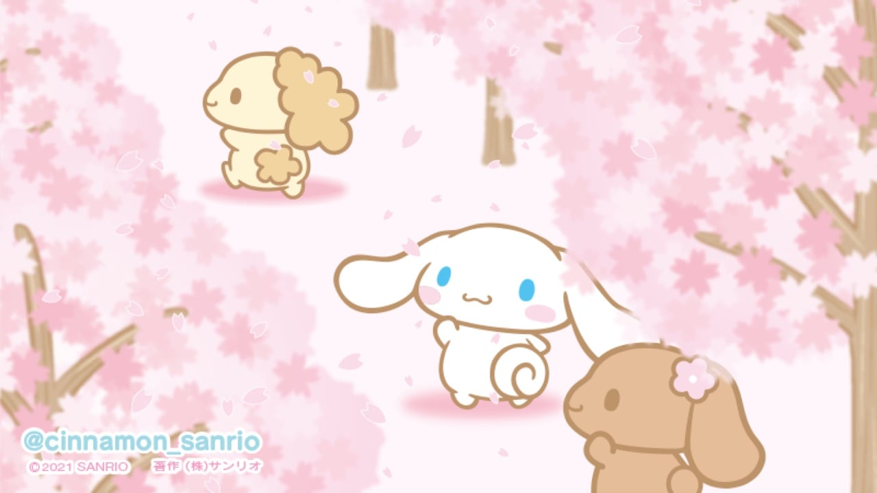 image about sanrio !!. See more about sanrio, cinnamoroll and hello kitty