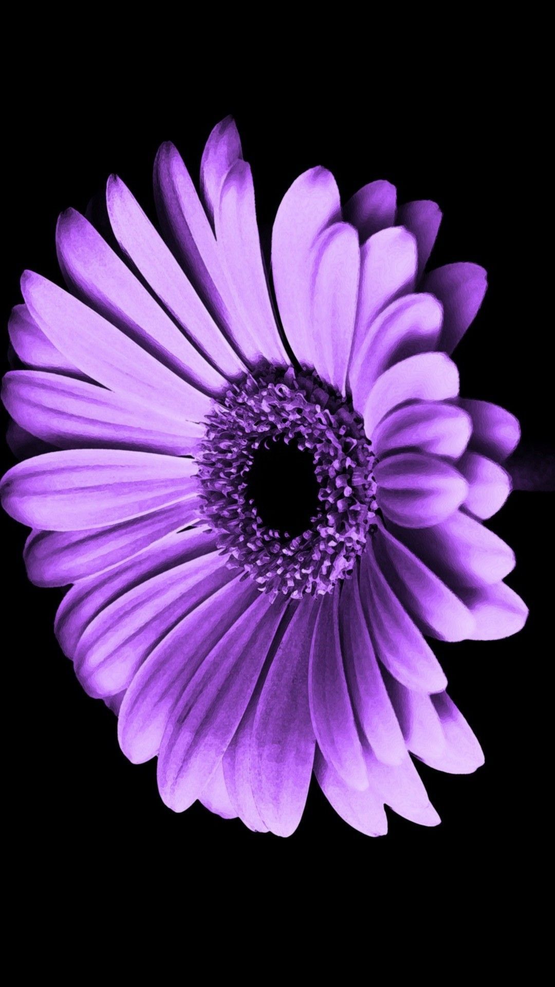 Purple Flower iPhone Wallpaper