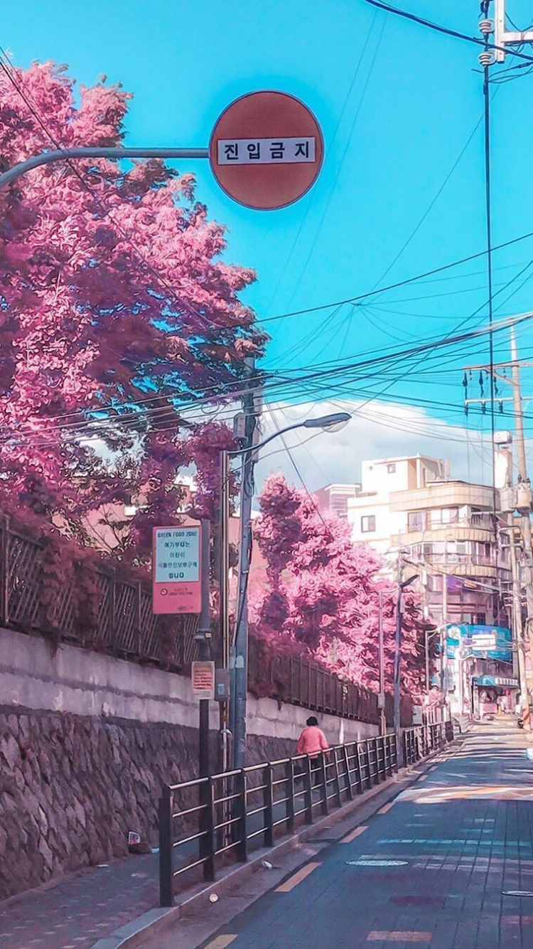 Free download Rocket Languages Korea wallpaper City aesthetic Aesthetic korea [1080x1350] for your Desktop, Mobile & Tablet. Explore Anime City Spring Wallpaper. Wallpaper City, City Background, City Wallpaper