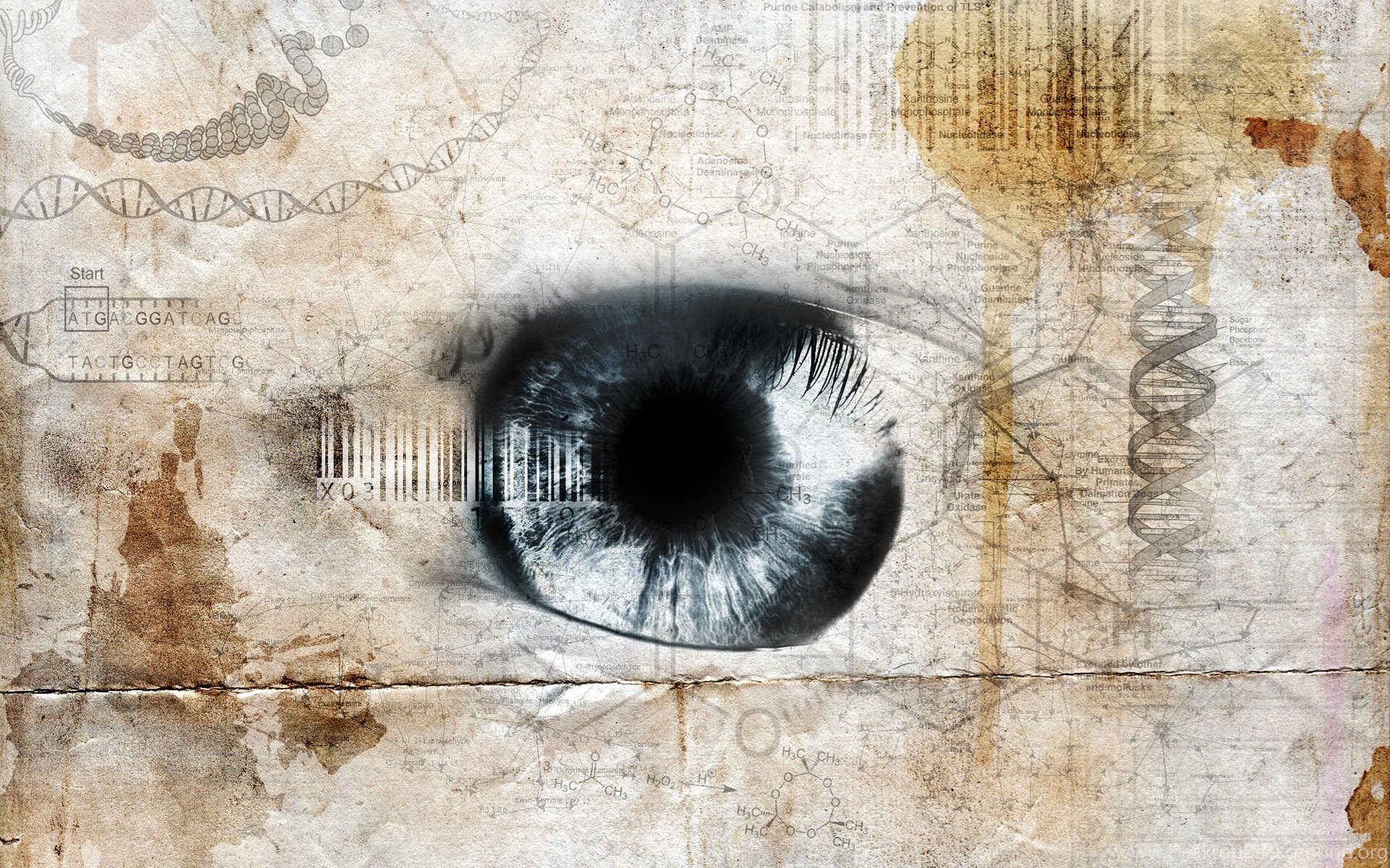 Full HD Wallpaper + Abstract, People, DNA, Eyes Desktop Background