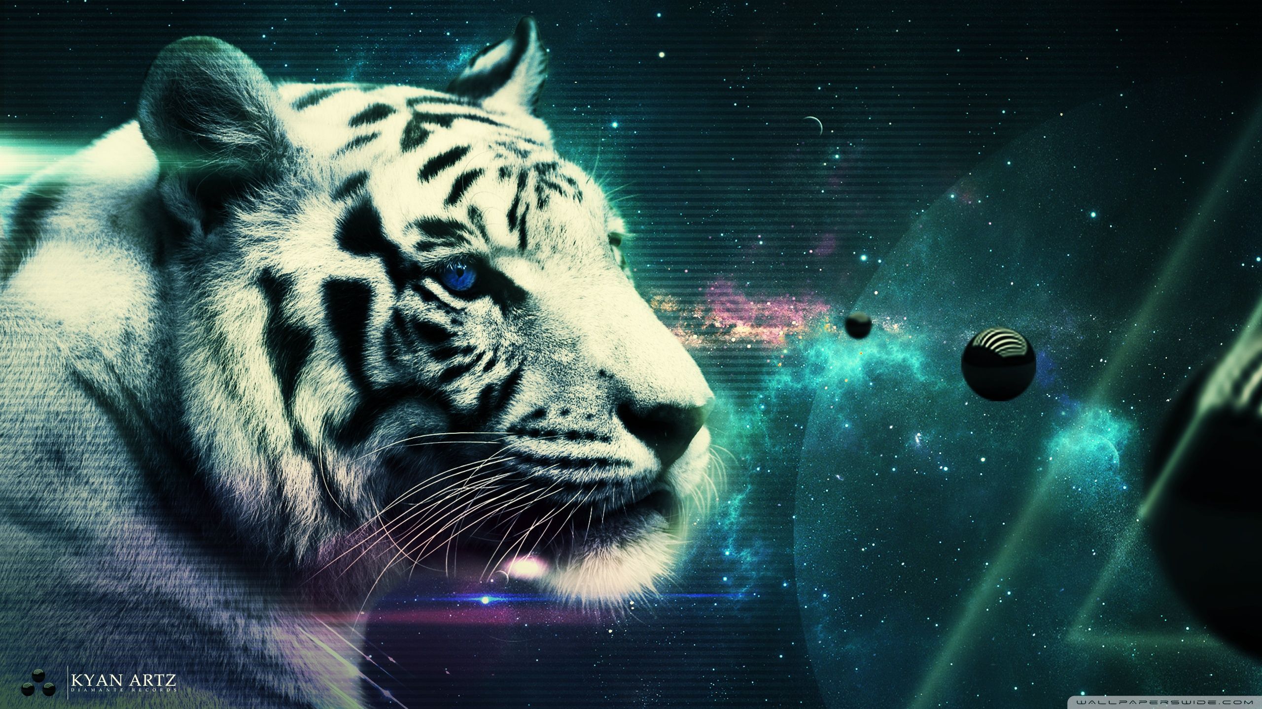 Byakko. Tiger picture, Animal wallpaper, Pet tiger