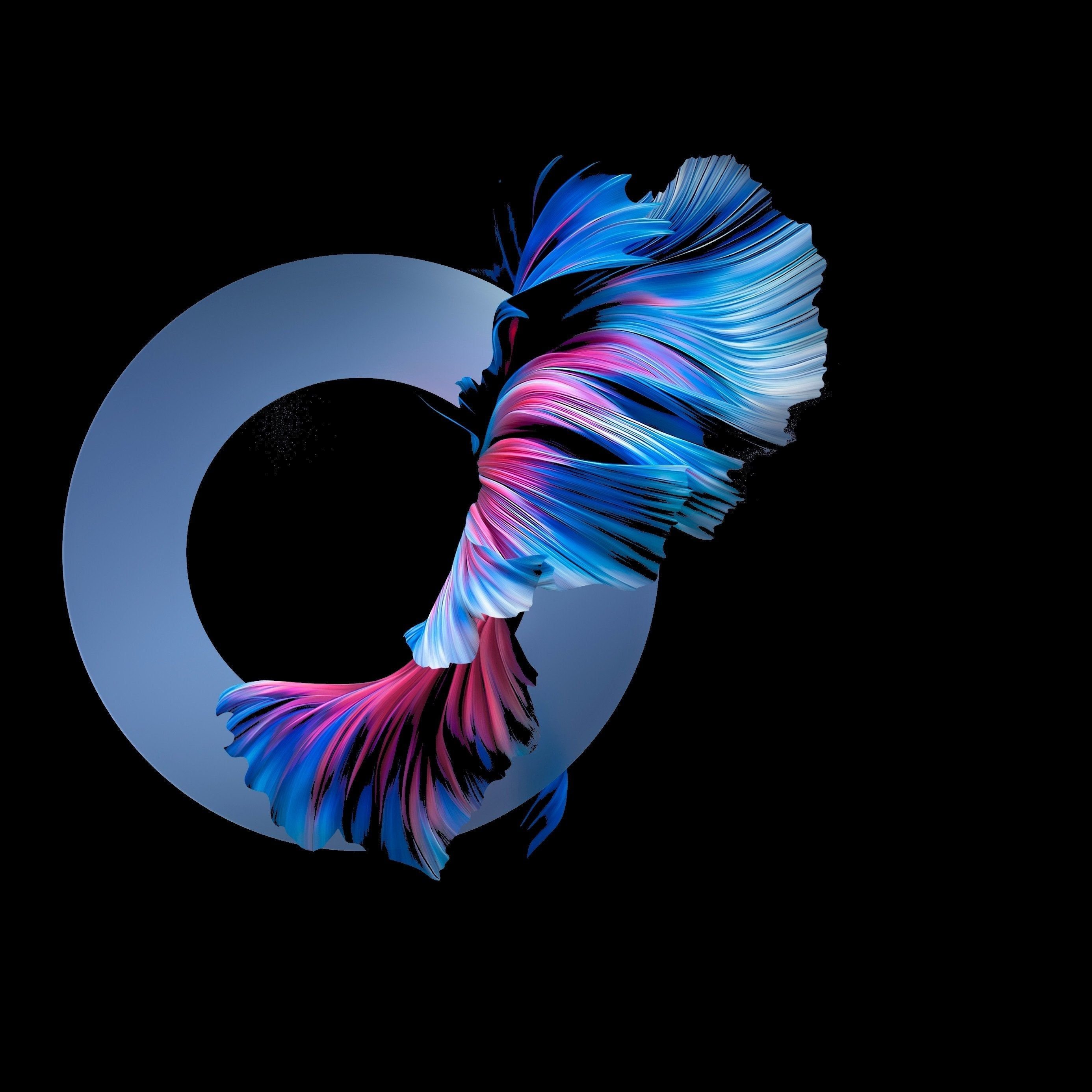 Huawei P50 Wallpaper