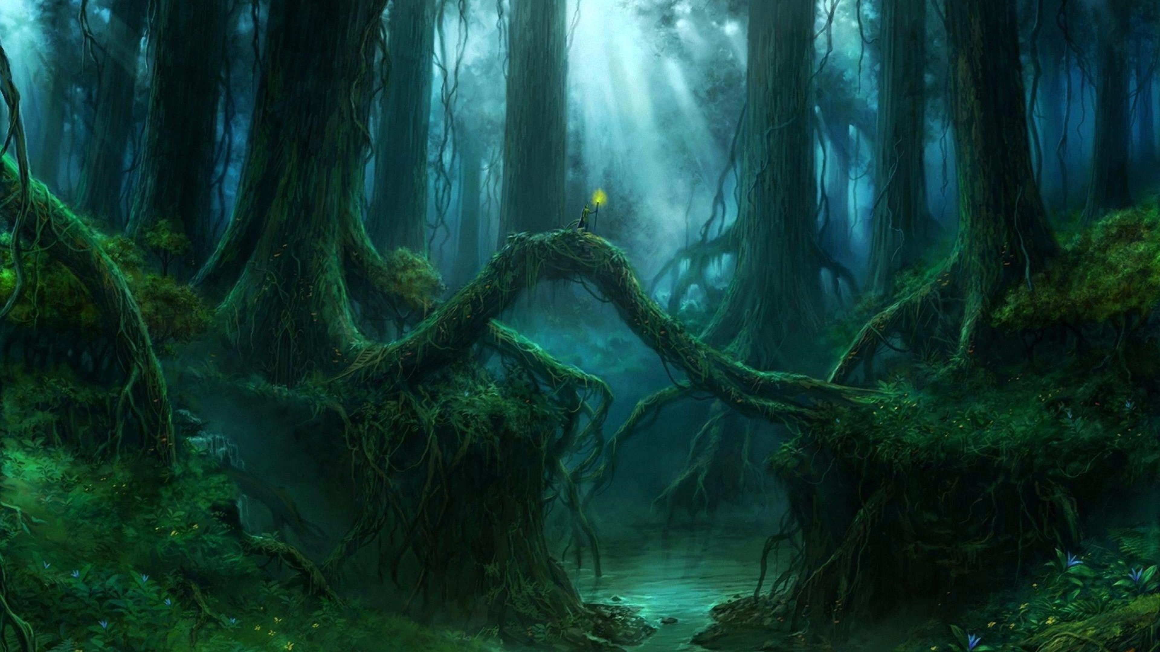 Magical Night Forest Wallpaper Free Magical Night Forest Background