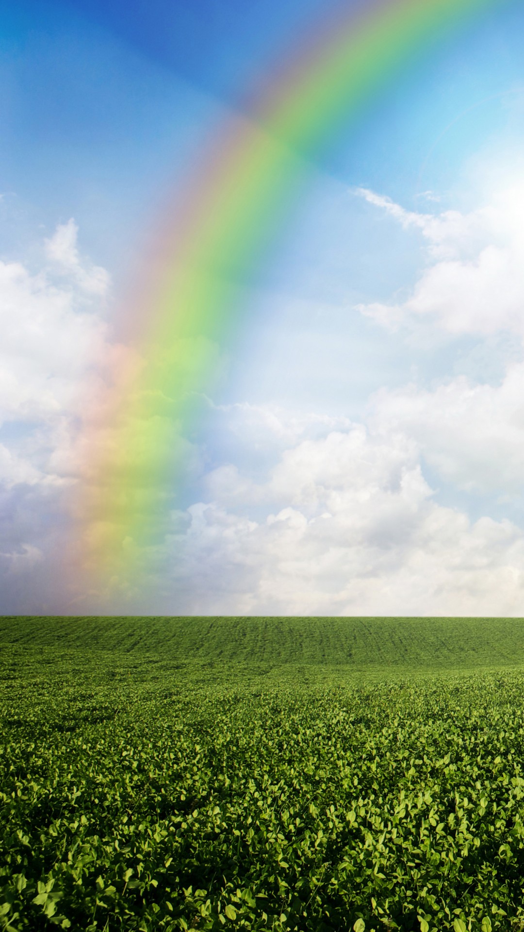 Wallpaper Meadows, 5k, 4k wallpaper, 8k, rainbow, sky, clouds, Nature