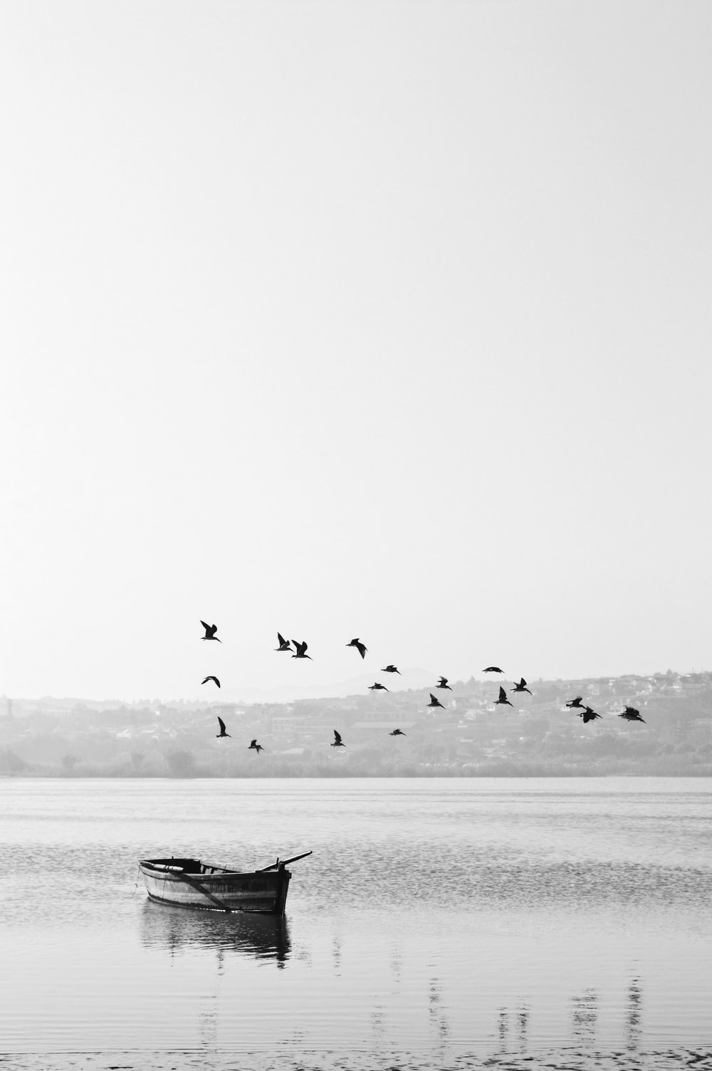 Black And White Landscape Picture. Download Free Image