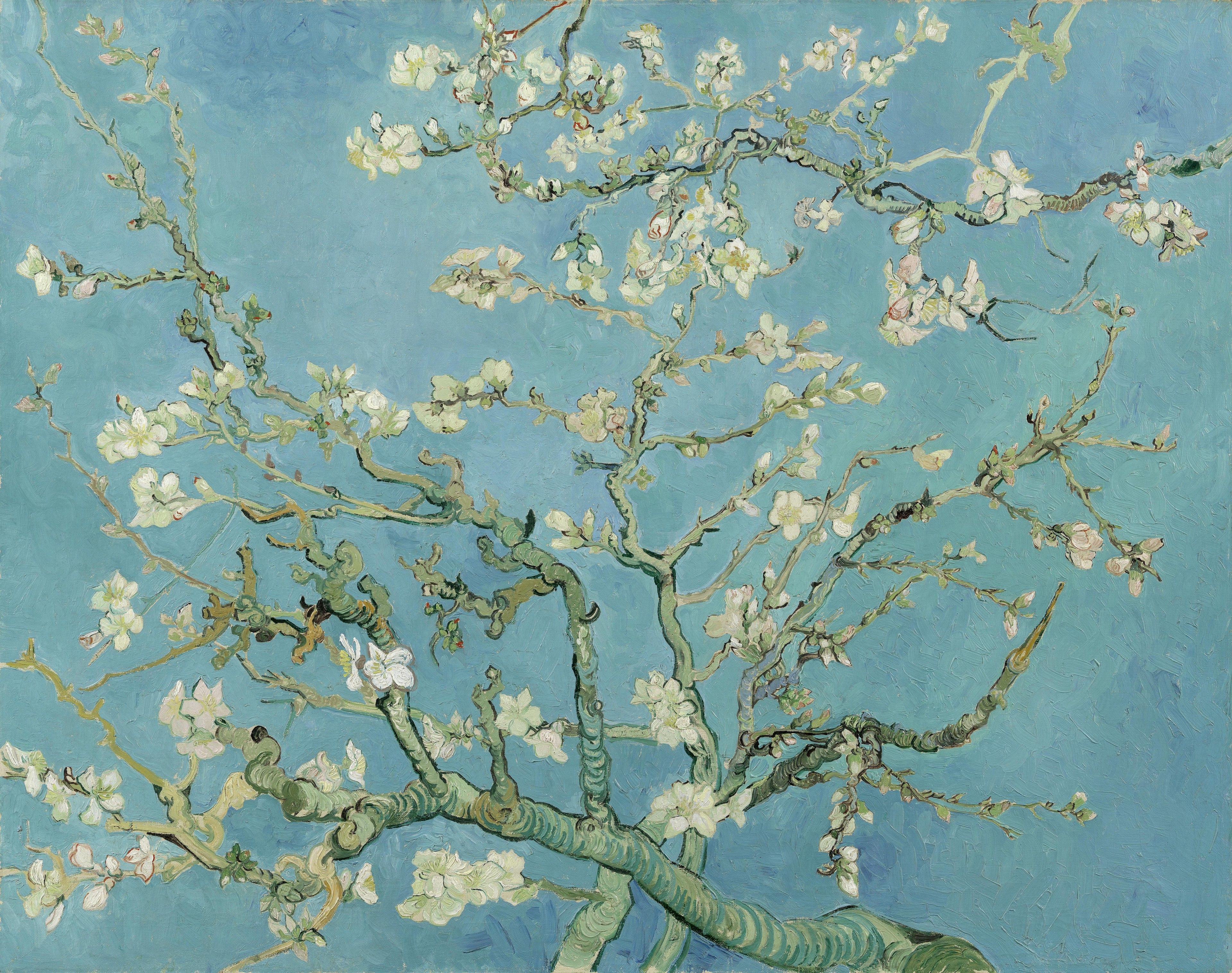 Almond Tree Van Gogh Wallpaper