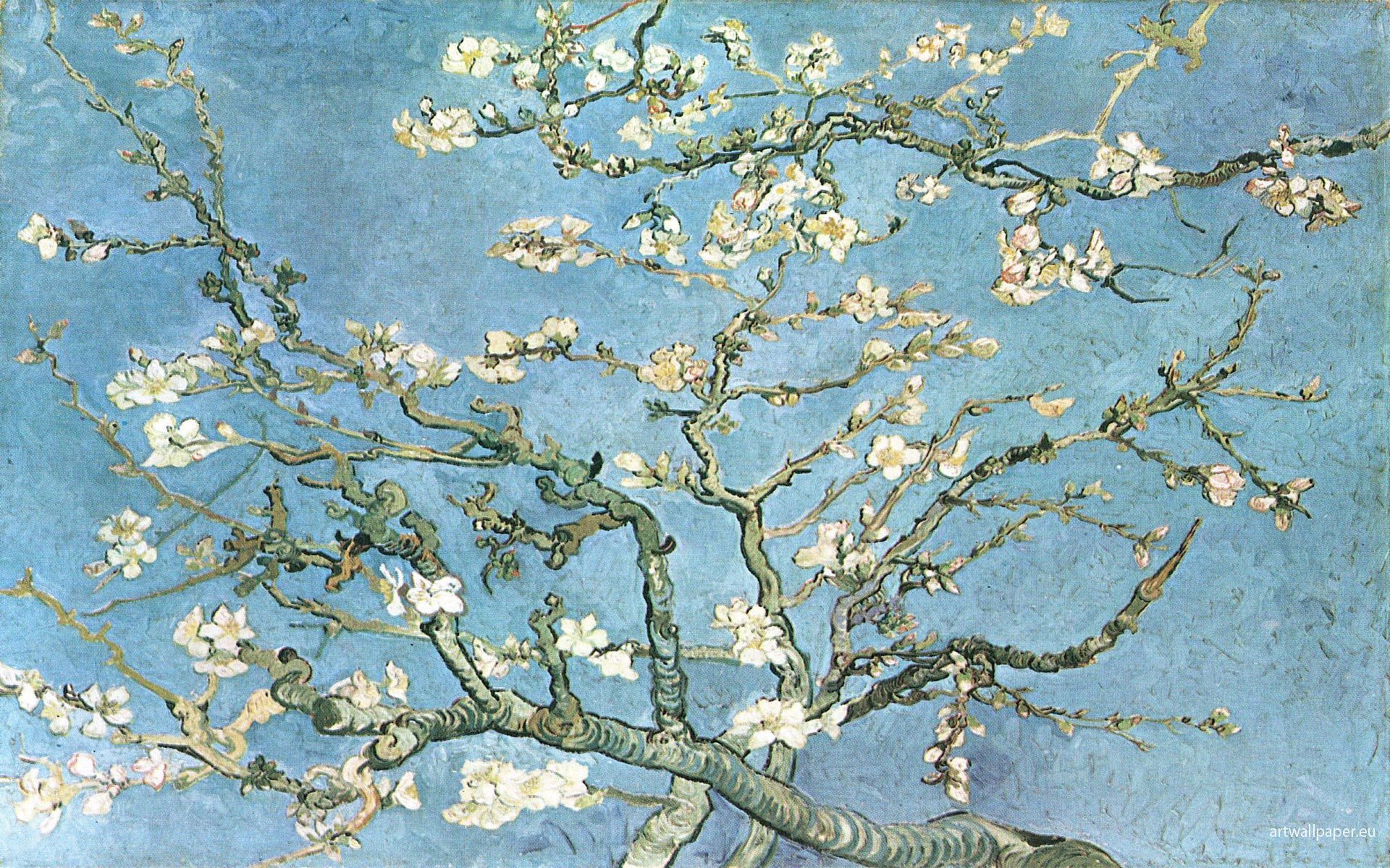 almond blossoms van gogh. Almond Blossoms Wallpaper, Painting, Vincent van Gogh. Van gogh almond blossom, Van gogh wallpaper, Vincent van gogh