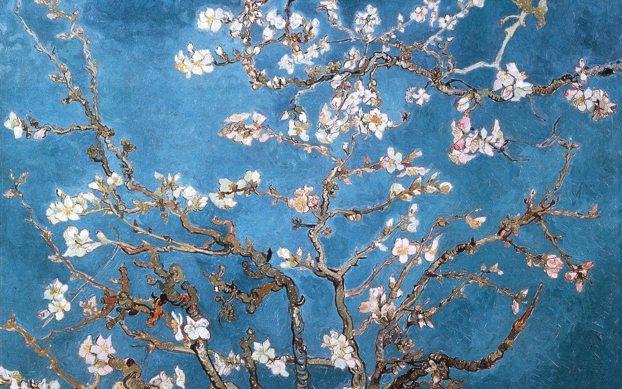 Almond Branches Van Gogh Wallpaper Free Almond Branches Van Gogh Background