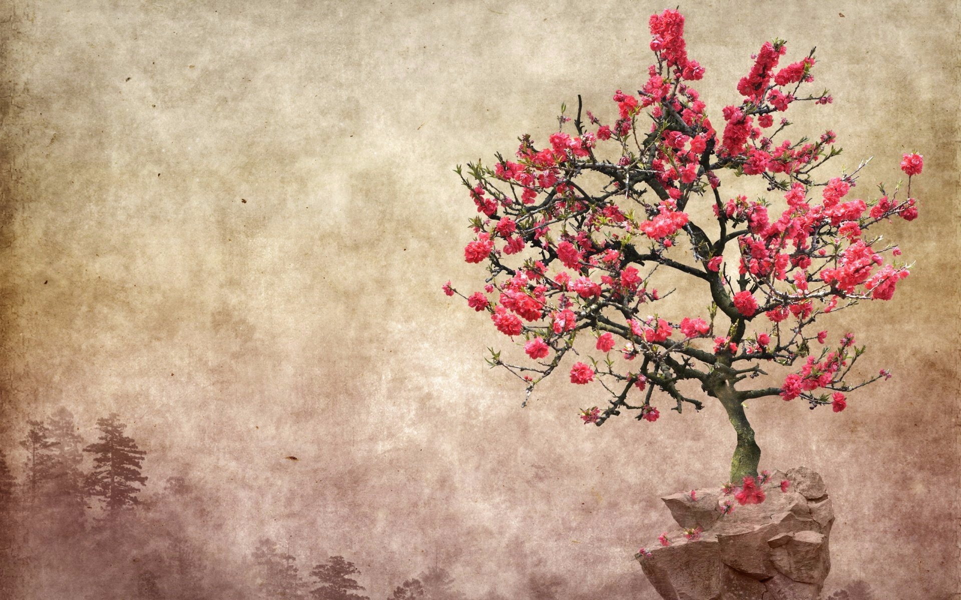 Almond Tree Wallpapers - Wallpaper Cave