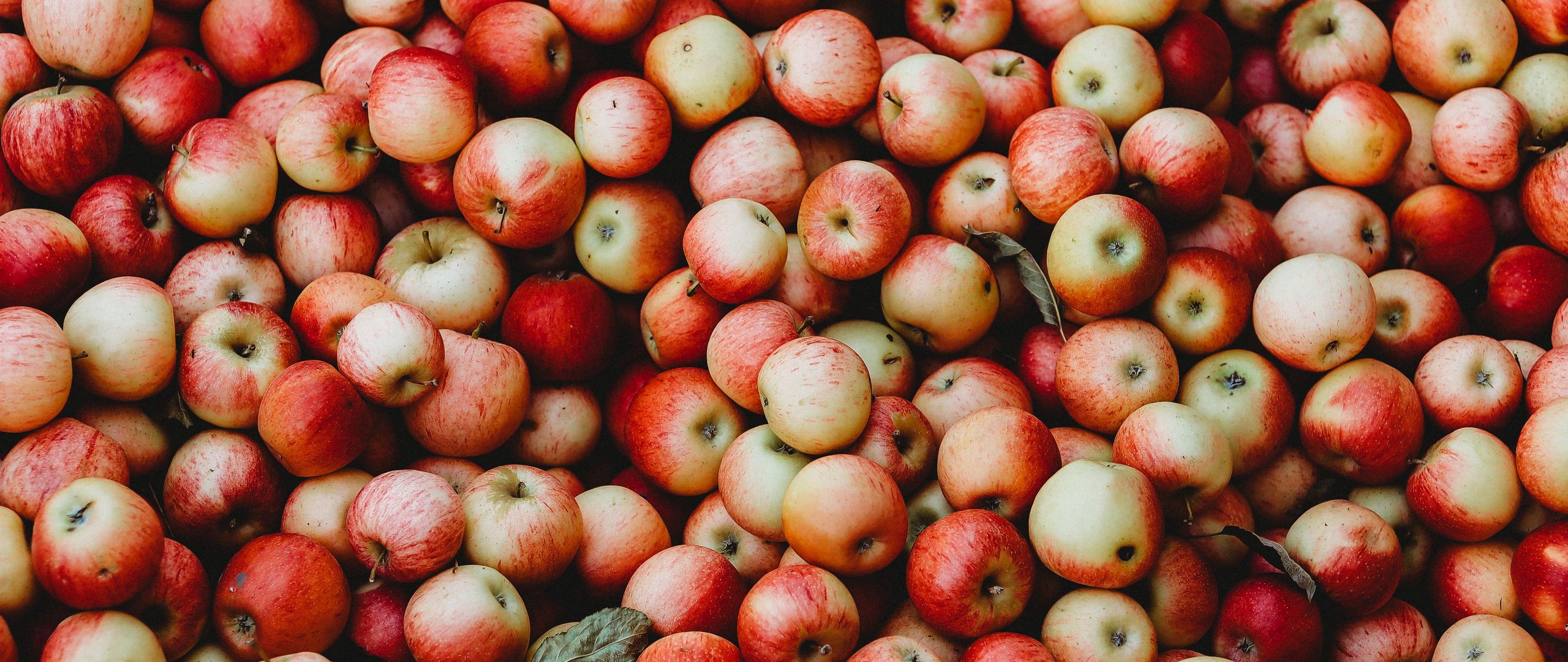 Download wallpaper 2560x1080 apples, fruit, garden, harvest dual wide 1080p HD background