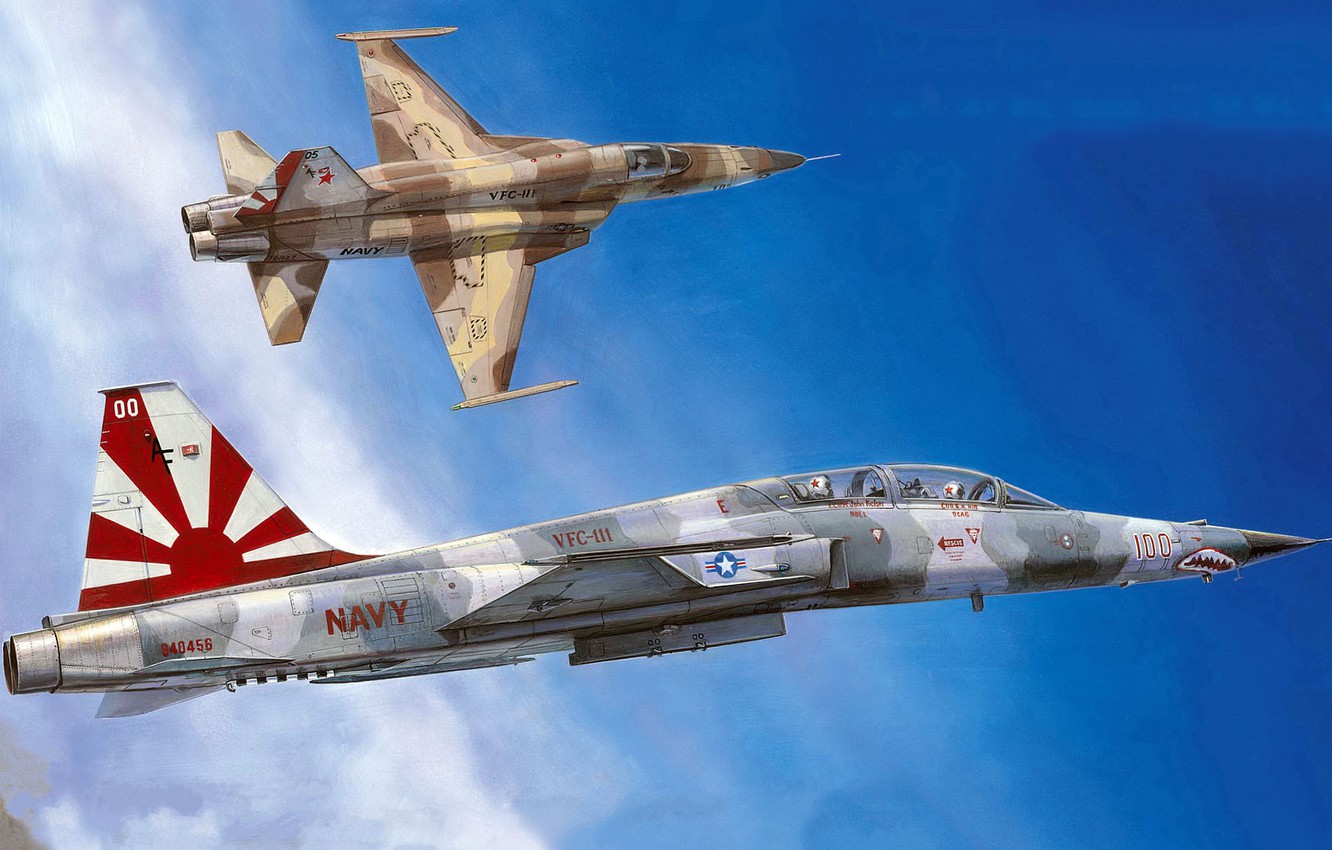 Wallpaper Tiger II, Freedom Fighter, Northrop Corporation, The Second Generation F 5, American Light Multi Role Fighter, Squadron Aggressor, VFC 111, Sundowners, F 5E N, F 5F Image For Desktop, Section авиация