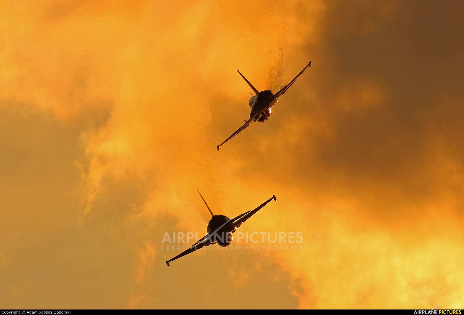 J 3081 Force: Patrouille De Suisse Northrop F 5E Tiger II At Leopoldsburg. Photo ID 1430799
