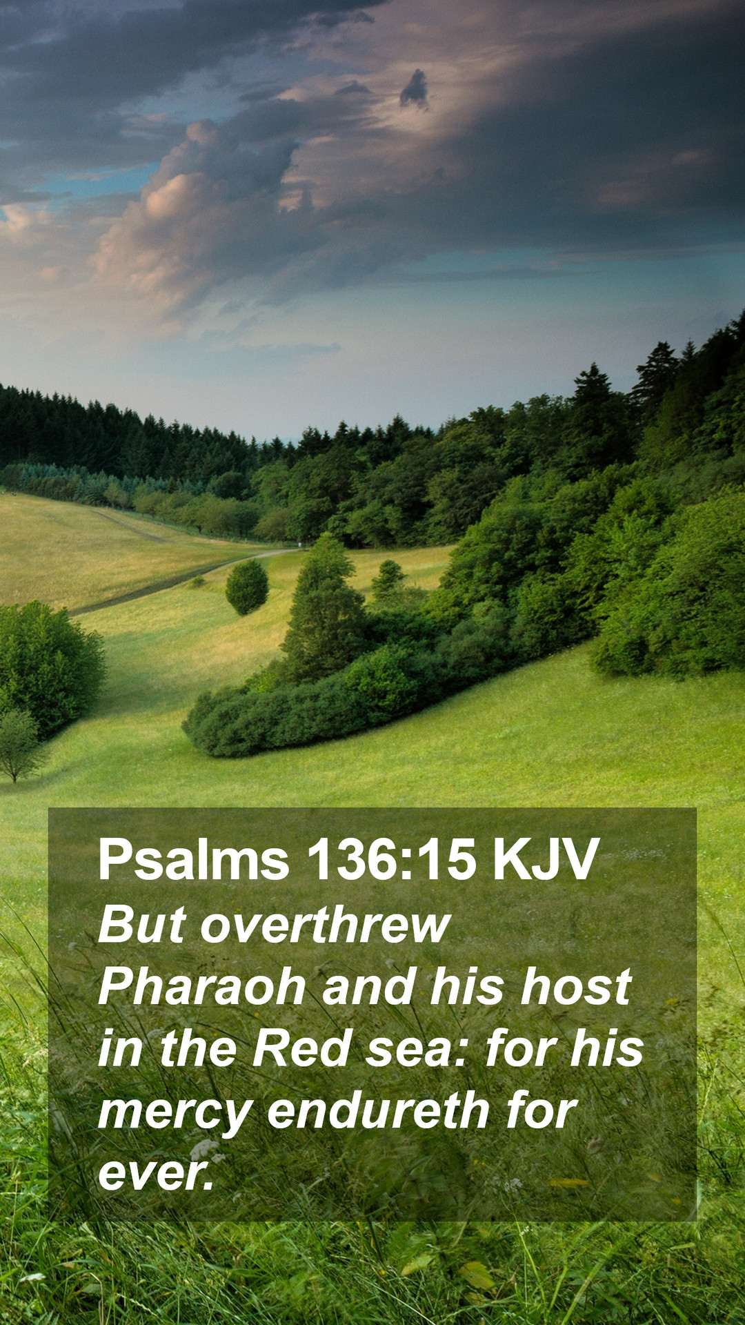 Psalms 136:15 KJV Mobile Phone Wallpaper overthrew Pharaoh and his host in
