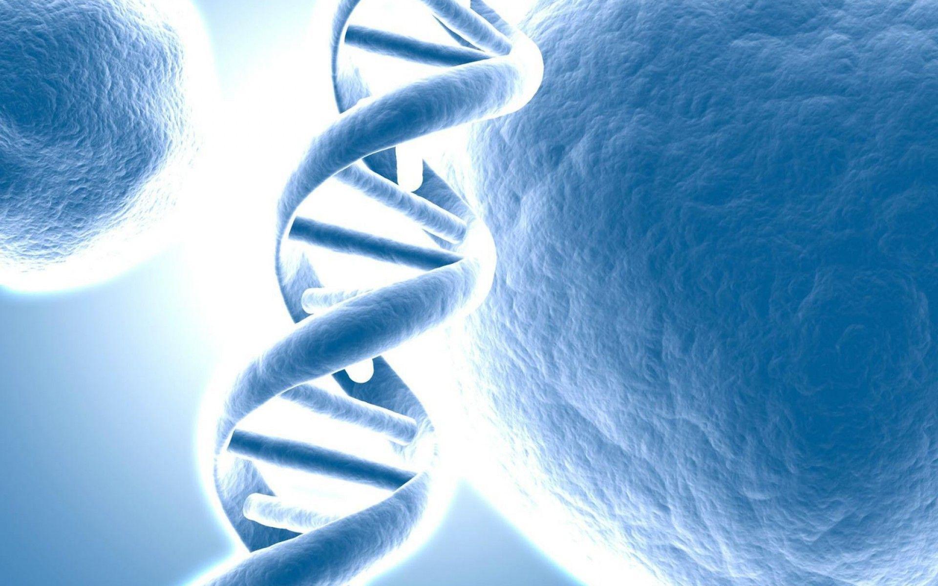 DNA Structure Wallpaper