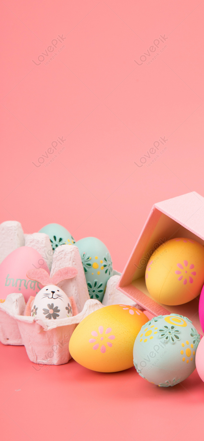 Egg Cell Phone Wallpaper Background Image Free Download