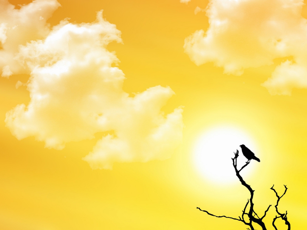 Bright Sunny Day Wallpaper