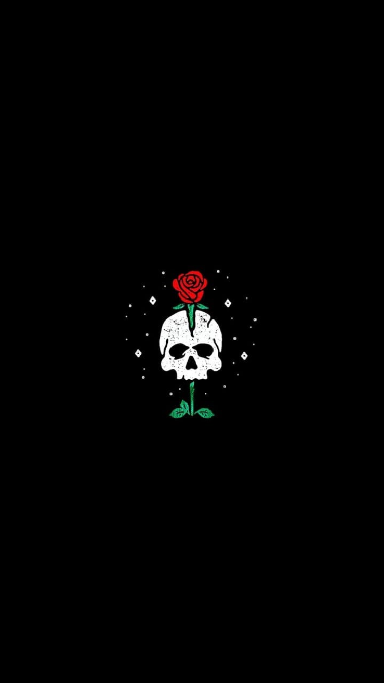 Skull And Roses Aesthetic Wallpapers - Wallpaper Cave