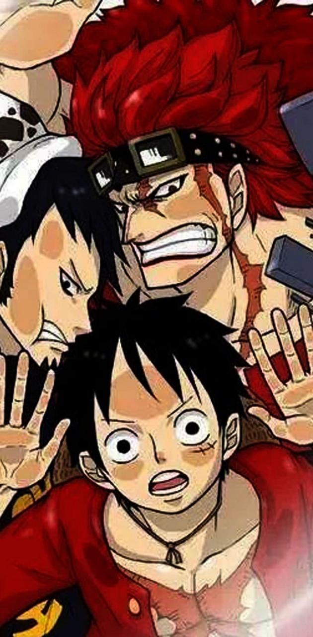 Luffy kid law wallpaper