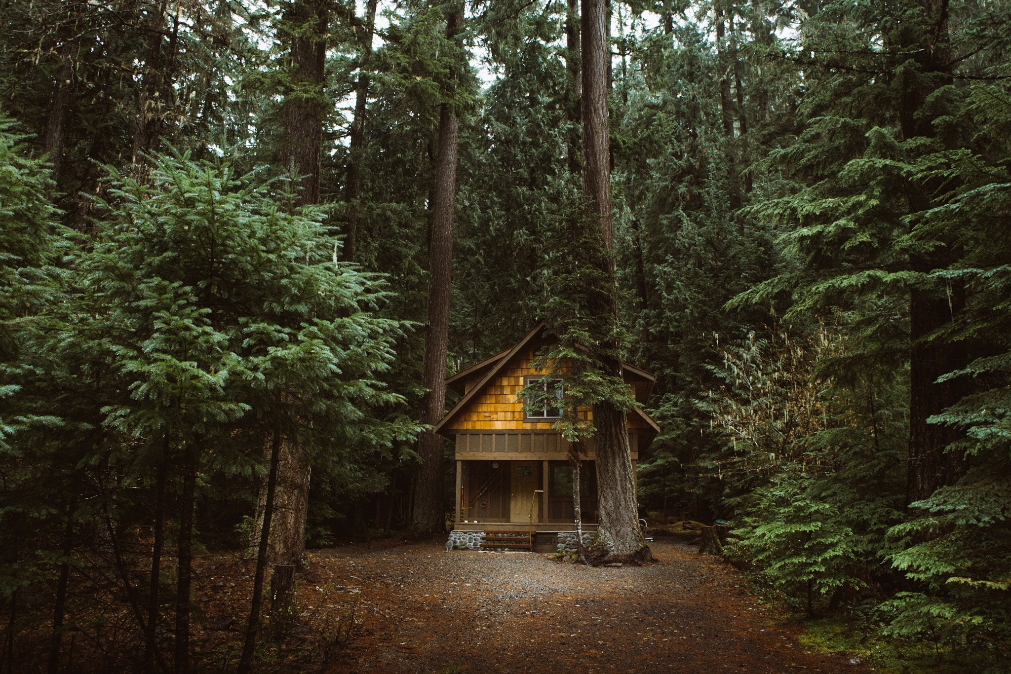 forest, Nature, Cabin Wallpaper HD / Desktop and Mobile Background