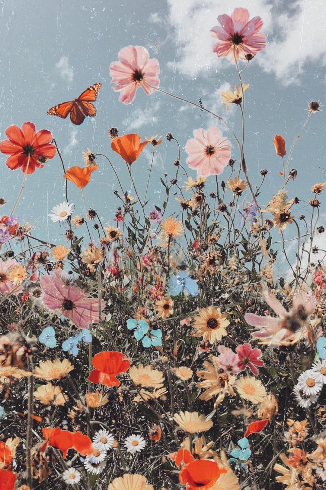 Boho Spring Flower Wallpapers - Wallpaper Cave