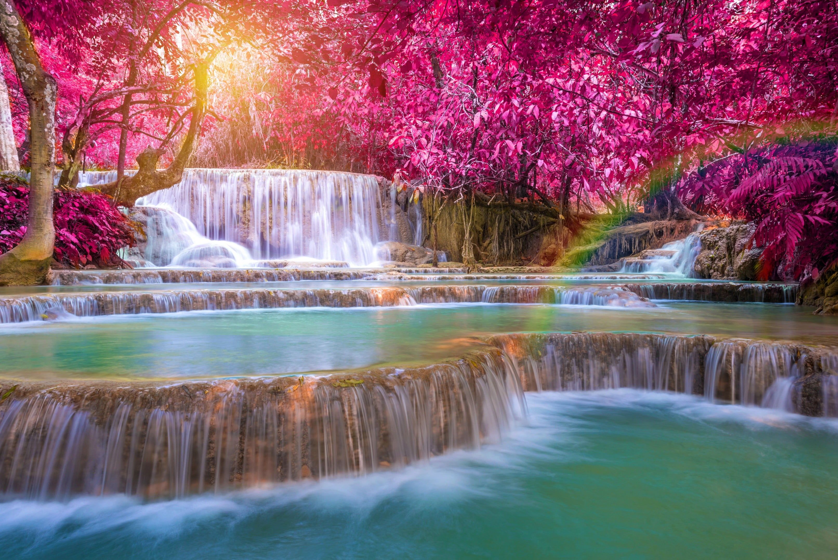 Pink Waterfall Wallpaper Free Pink Waterfall Background