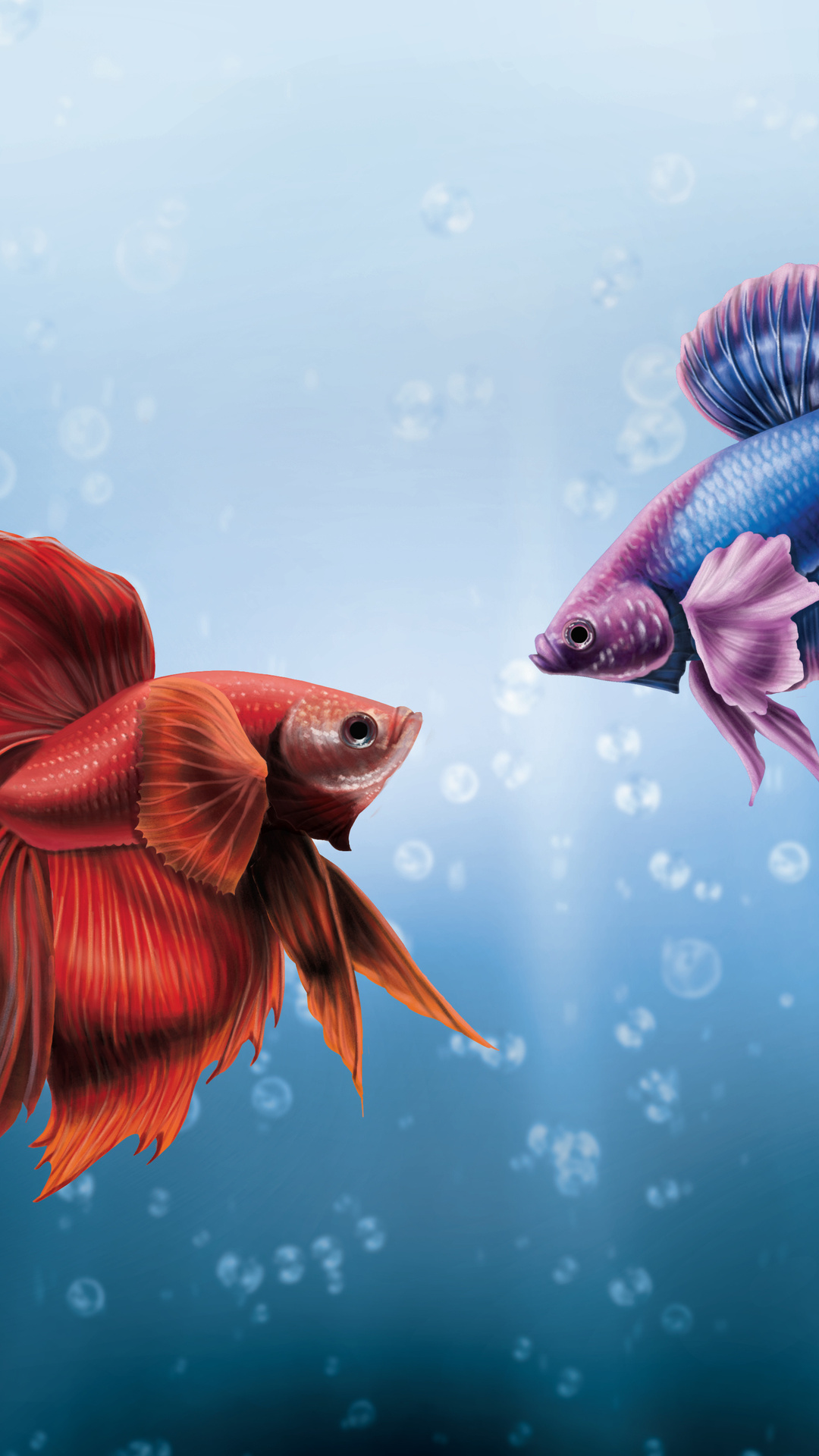 Him And I Betta Fish iPhone 6s, 6 Plus, Pixel xl , One Plus 3t, 5 HD 4k Wallpaper, Image, Background, Photo and Picture