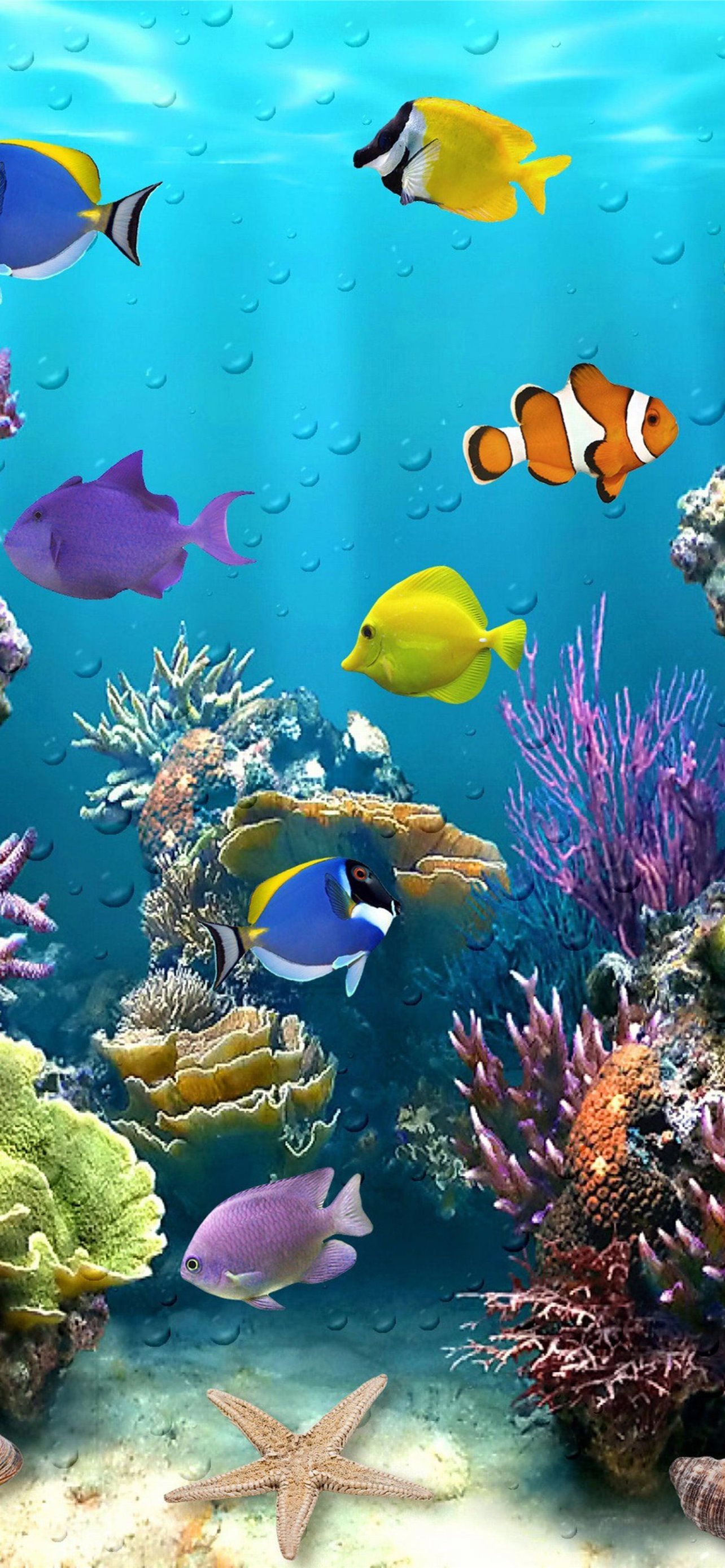Best Aquarium iPhone HD Wallpaper