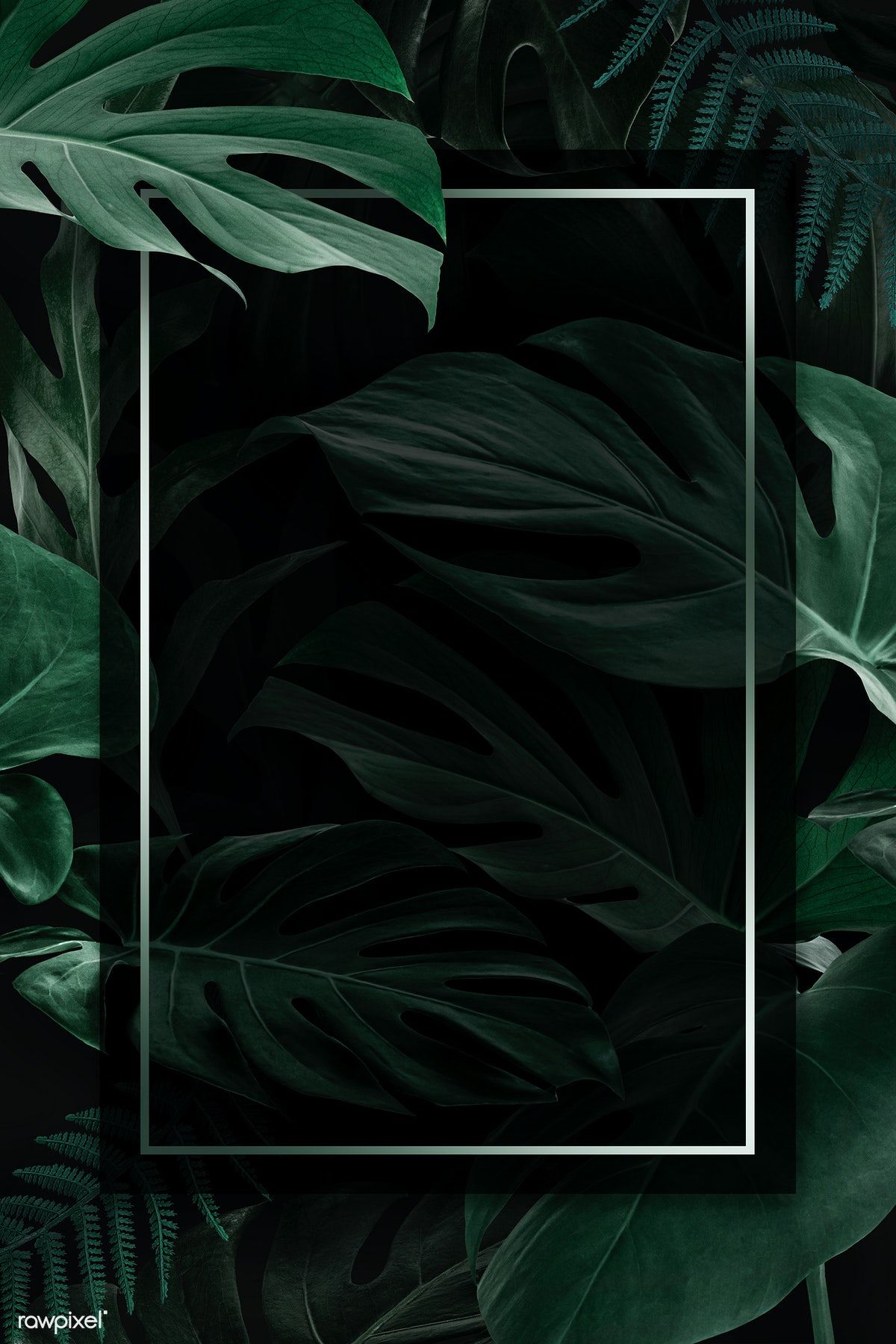 Aesthetic Leaf Wallpaper