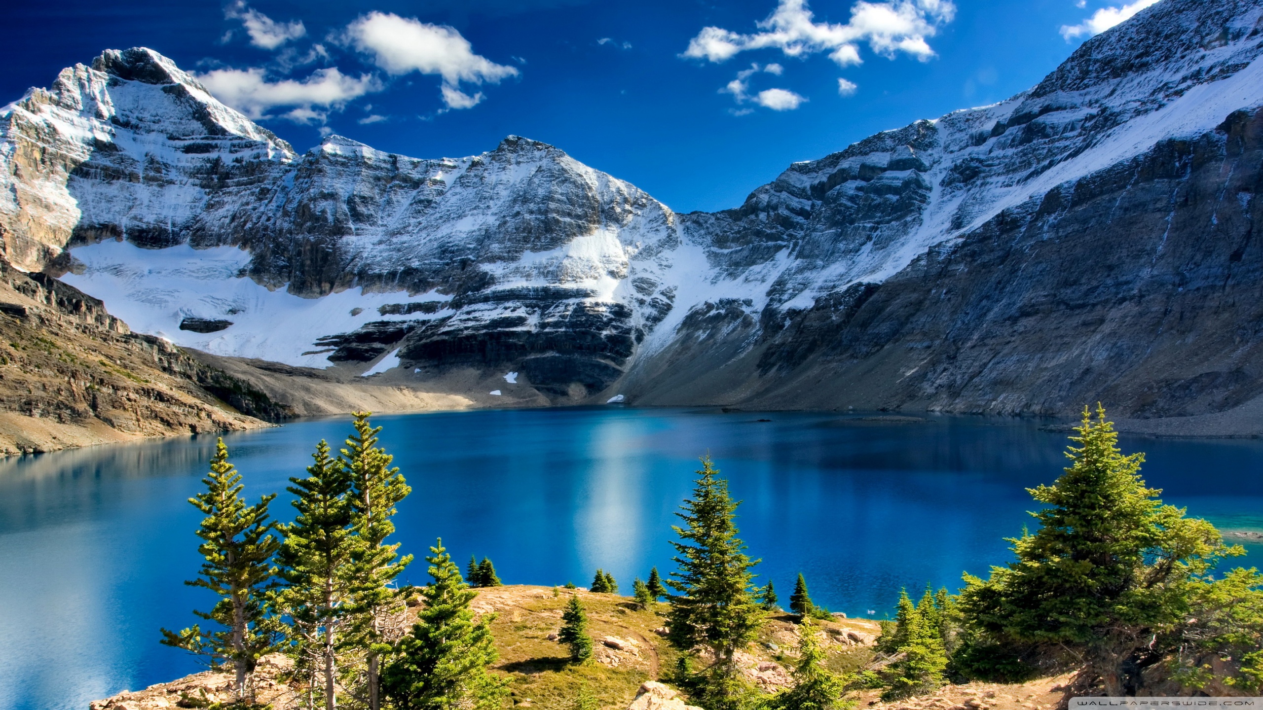 Lake O'hara Yoho National Park British Columbia, Canada - [2560x1440], R WQHD_Wallpaper