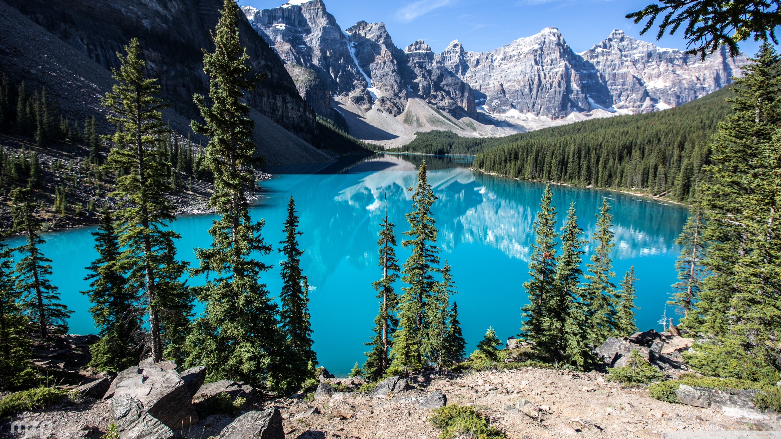 Free download Moraine Lake Banff National Park Alberta Canada 4K HD [ 2560x1440] for your Desktop, Mobile & Tablet. Explore Banff National Park Wallpaper. Banff National Park Wallpaper, Banff National
