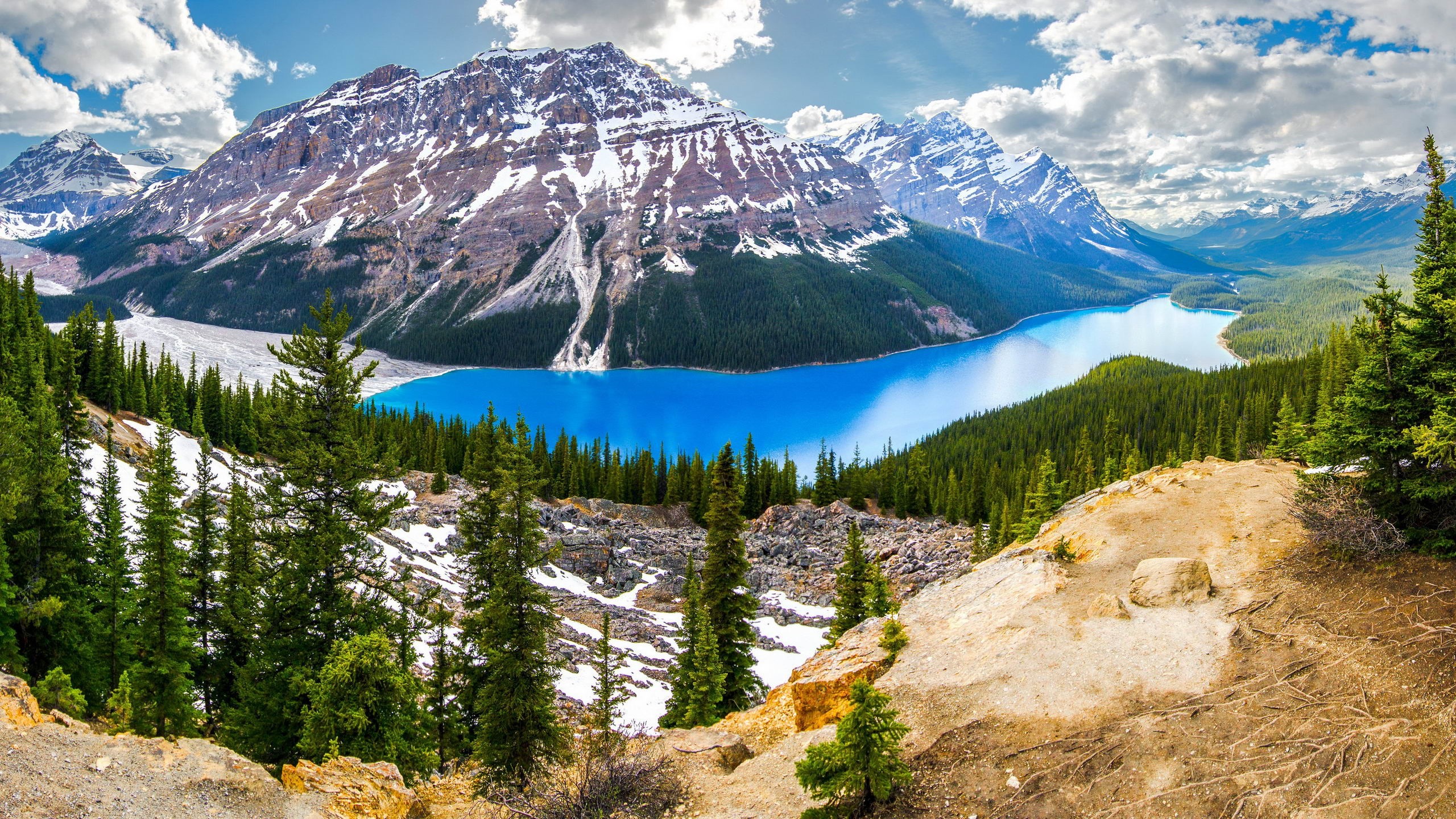 2560x1440, Peyto Lake Banff Canada Firs Data Id 297831