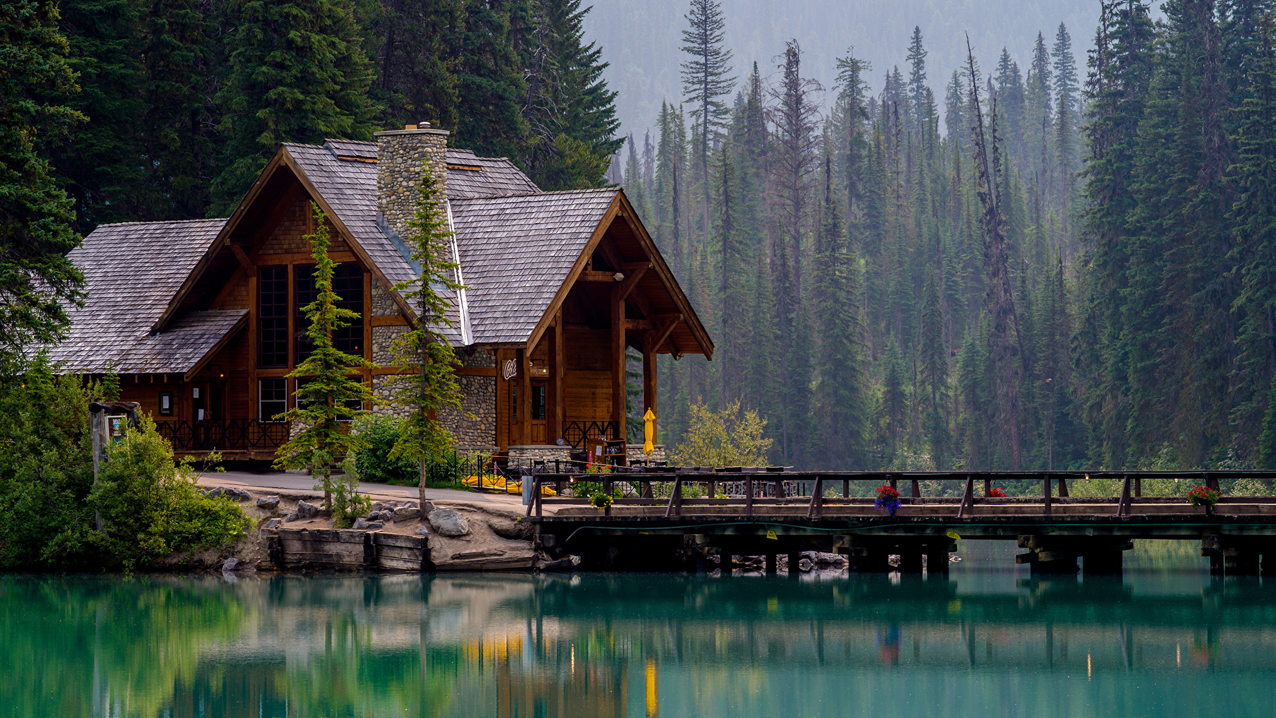 Wallpaper Canada Emerald Lake Nature Spruce Bridges Parks 2560x1440