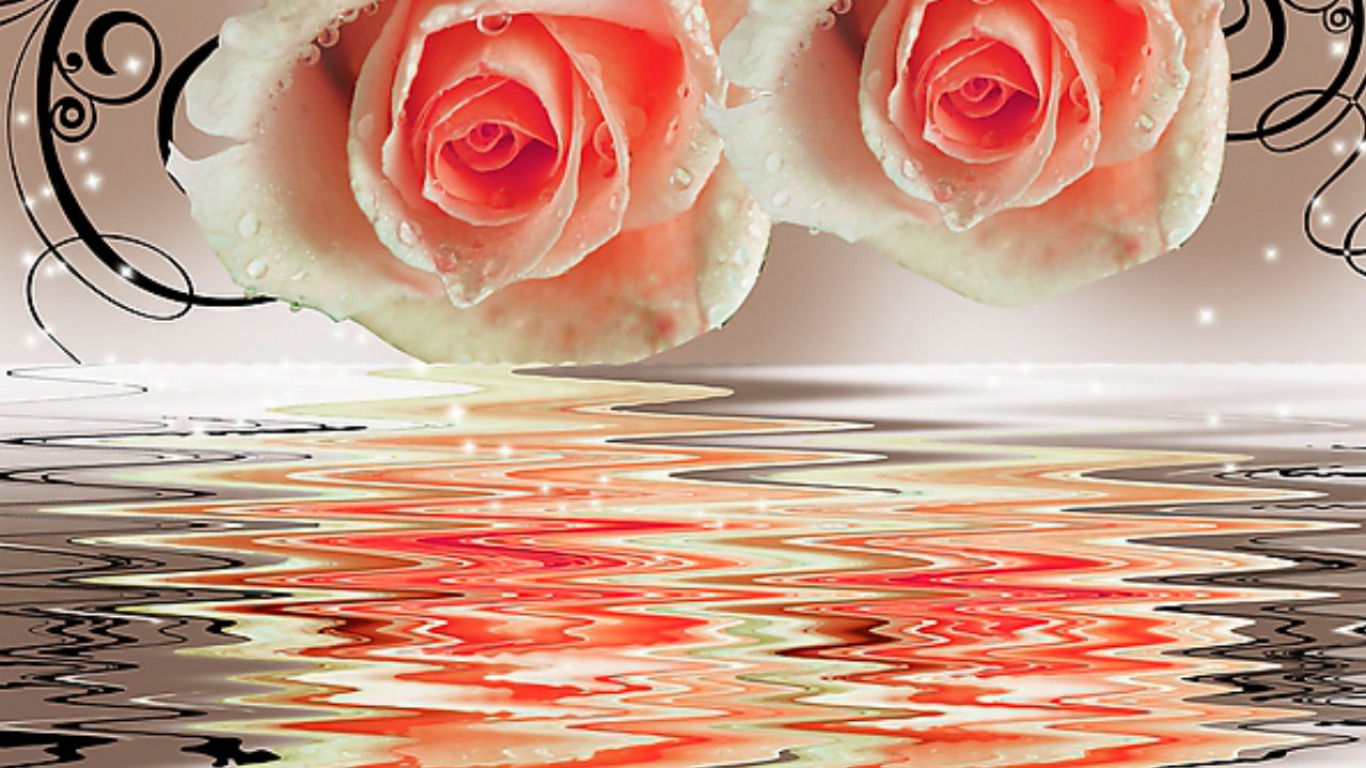 Roses and their reflection in water