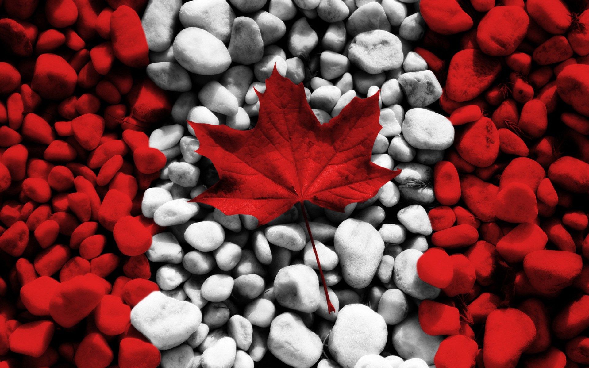 flag of canada pc background hd, 397 kB Mason. Canada photography, Canada day, Canada day party