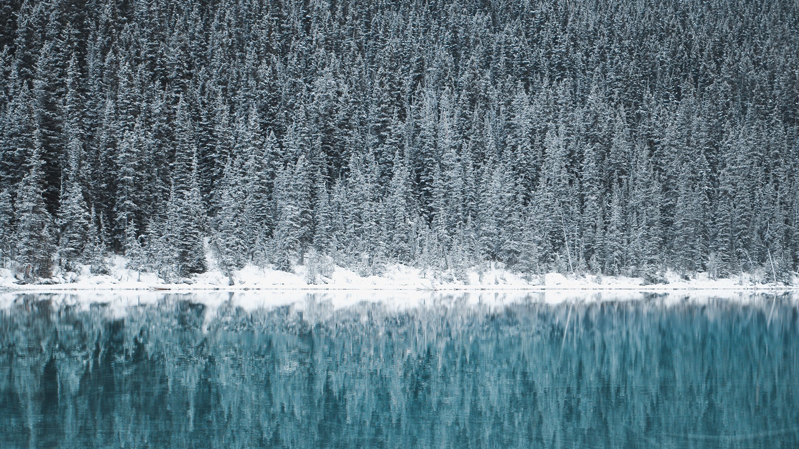 Lake Louise Canada HD wallpaper