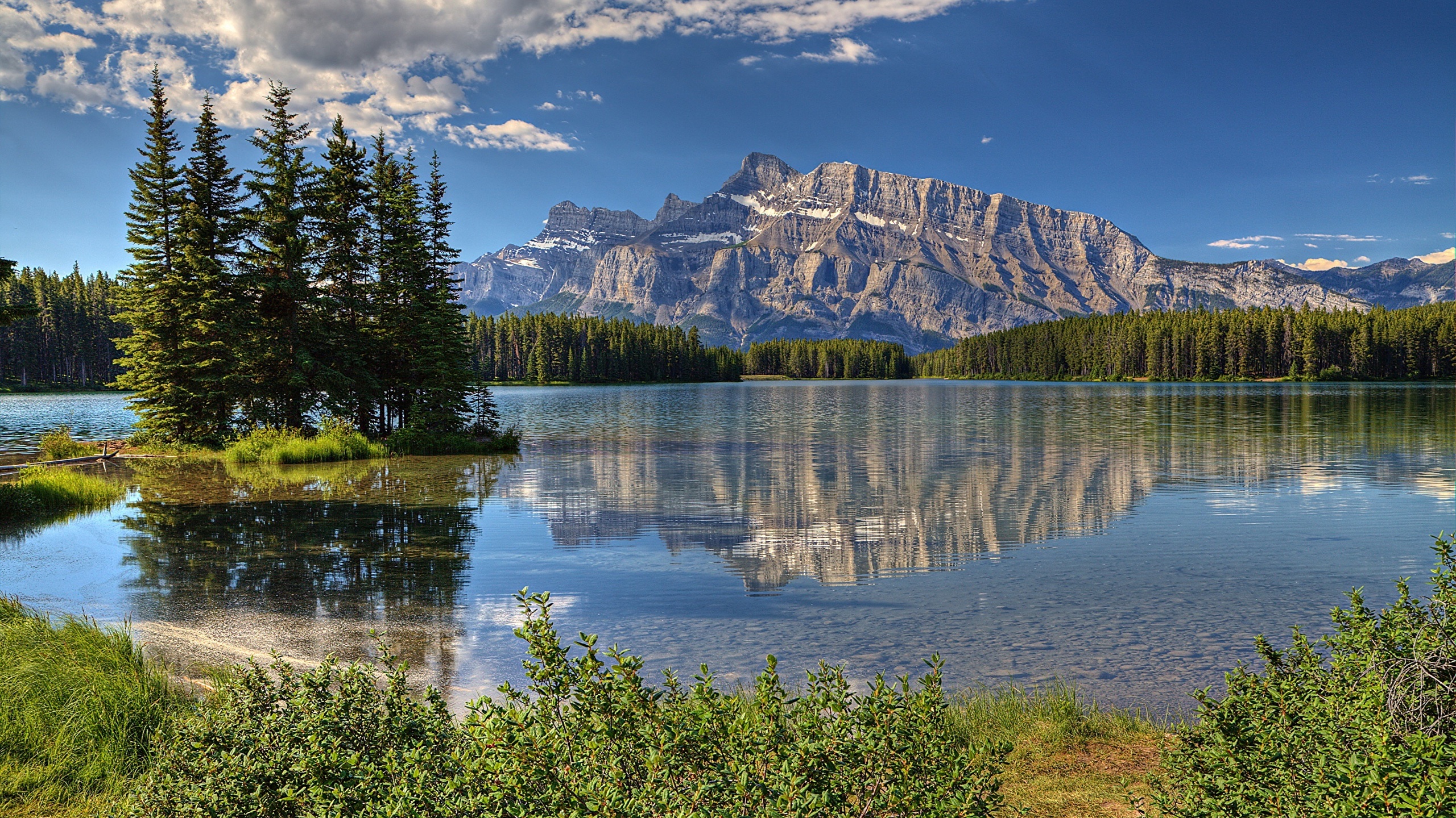 Picture Canada canadian Rocky mountains Nature Spruce 2560x1440