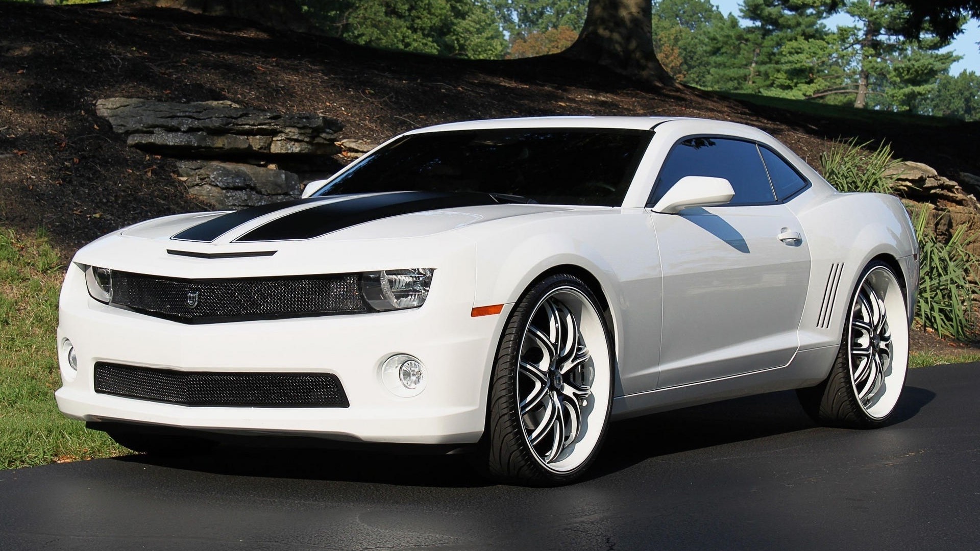 White Camaro Wallpaper