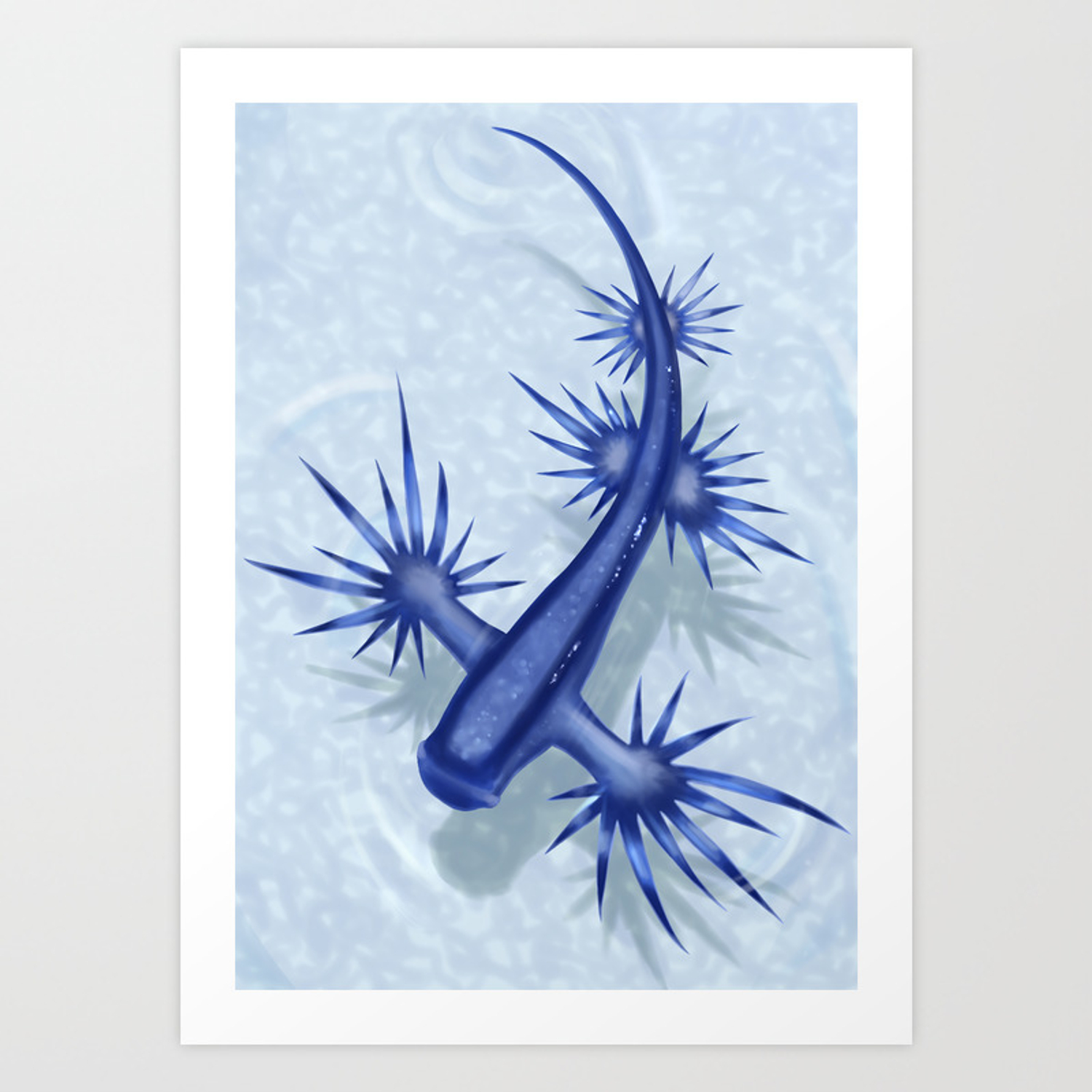 glaucus atlanticus wallpaper