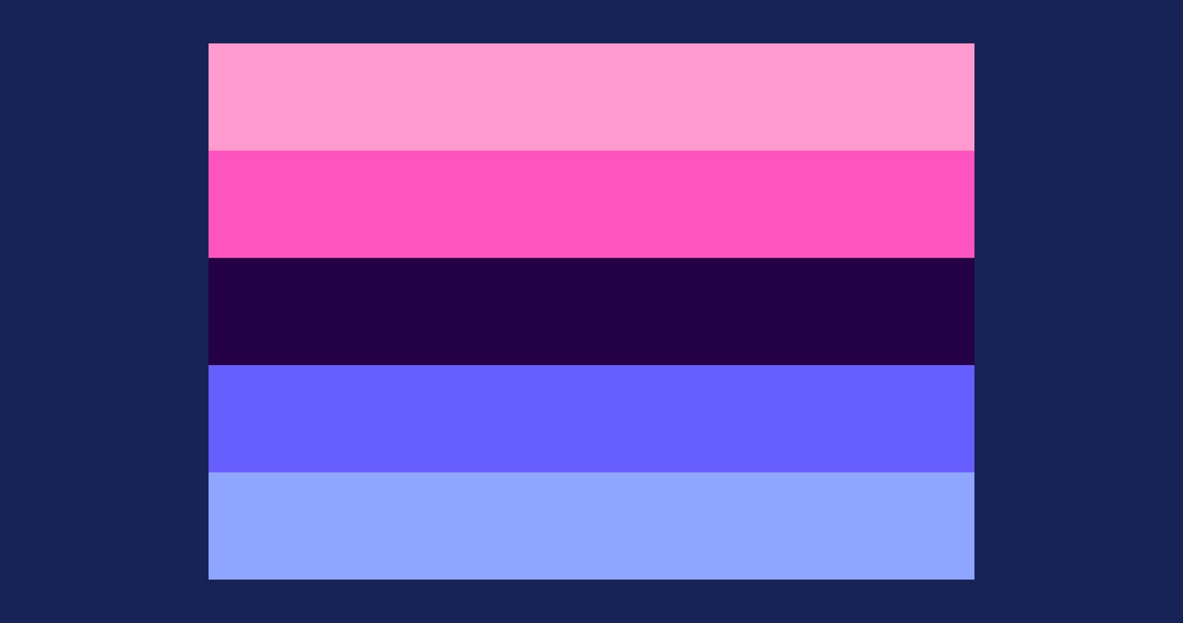 What is the Omnisexual pride flag and what does it mean?