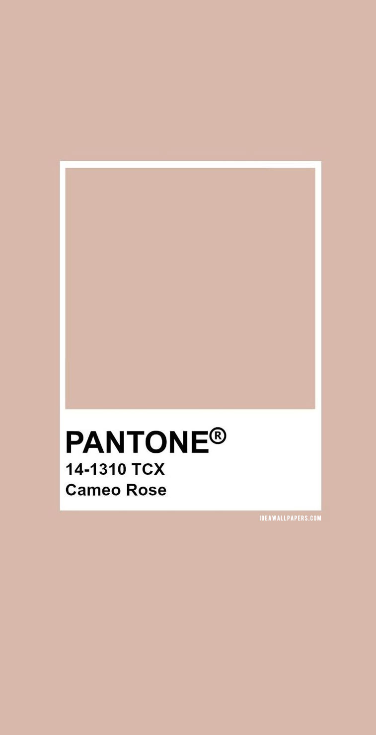 Pantone Cameo Rose, Pantone 14 1310 #color #pantone #neutral #colors