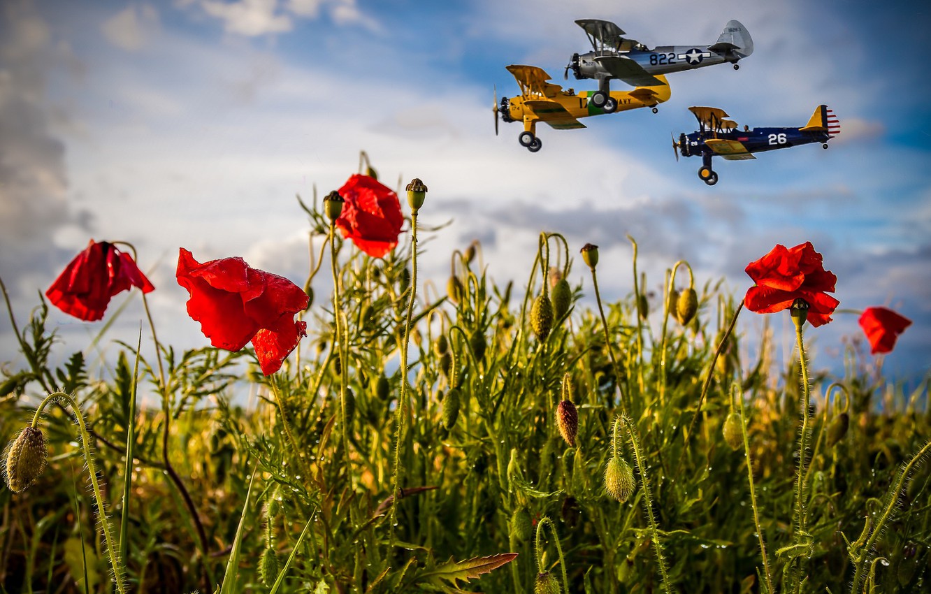 Wallpaper field, summer, the sky, clouds, flight, aviation, flowers, Mac, Maki, aircraft, three, trio, poppy field, poppy image for desktop, section авиация