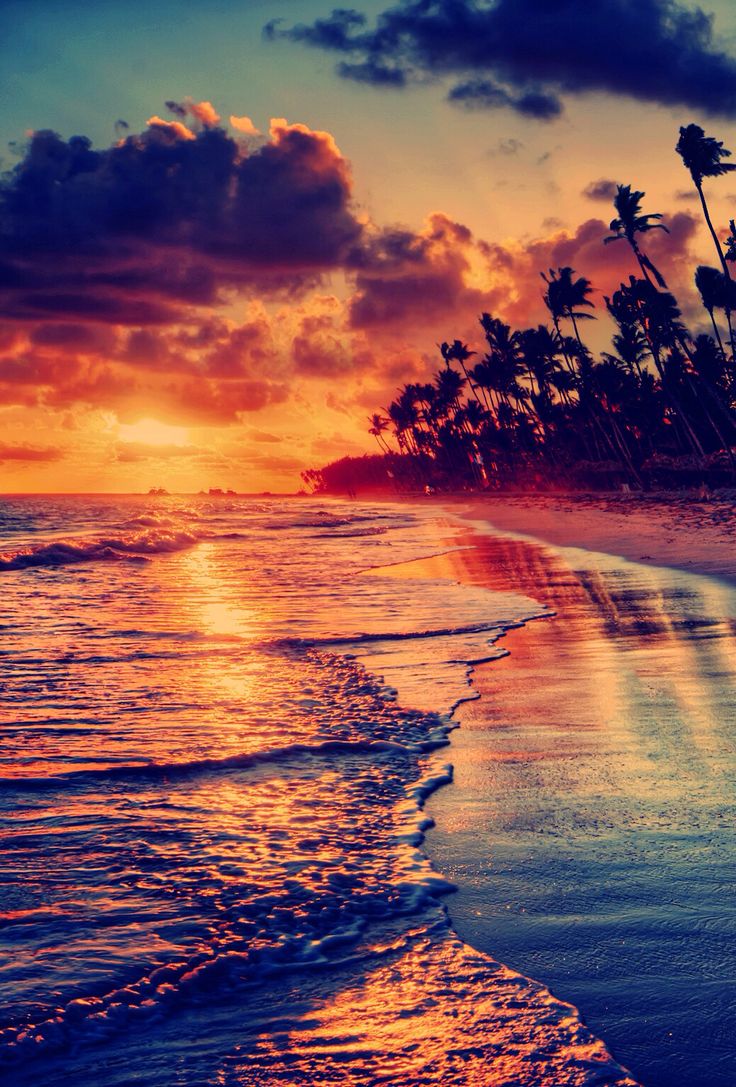 Beaches sunset summer wallpaper #summer #summer2018 #summerfun