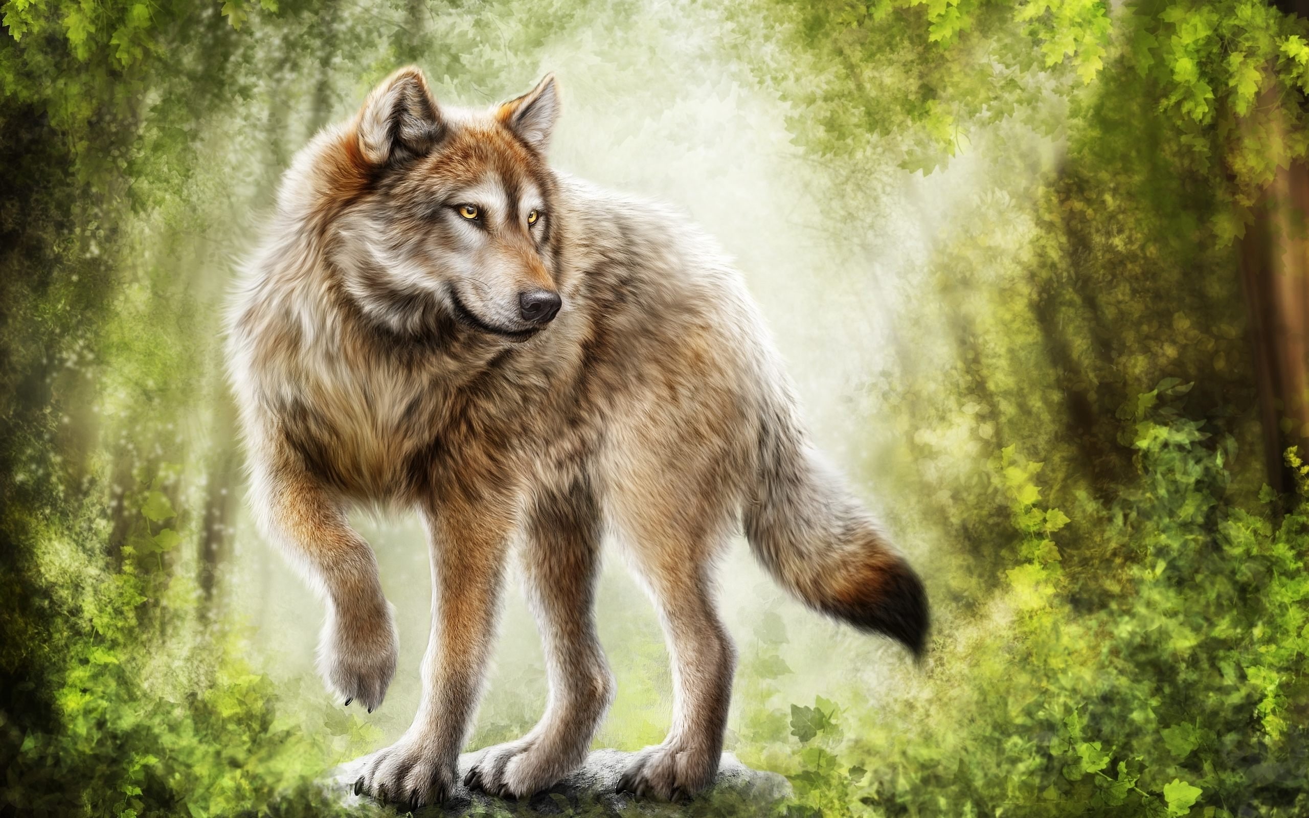 gray wolf painting wallpaper Wallpaper HD / Desktop and Mobile Background