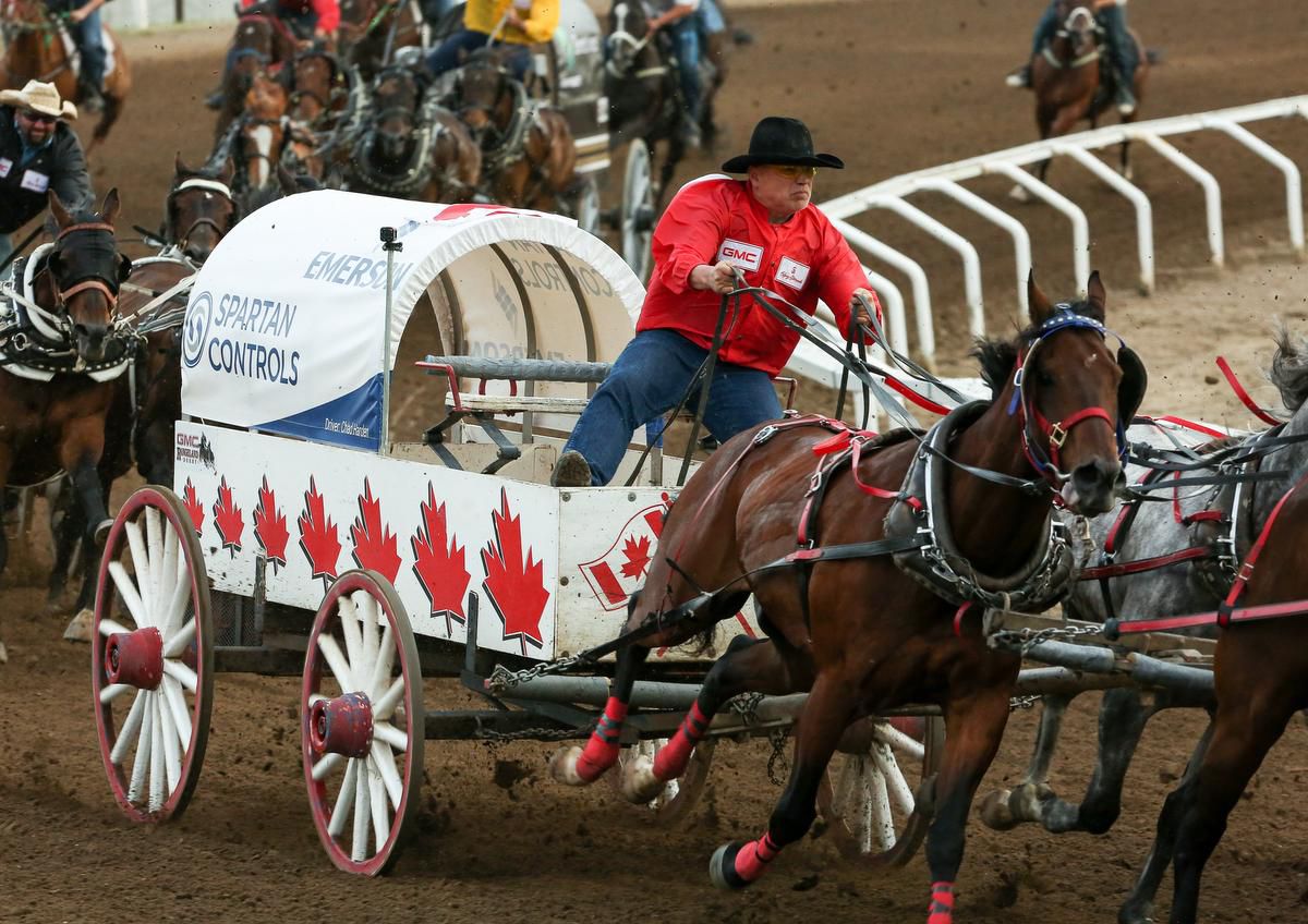 Group wants charges in horse deaths during Calgary Stampede chuckwagon races