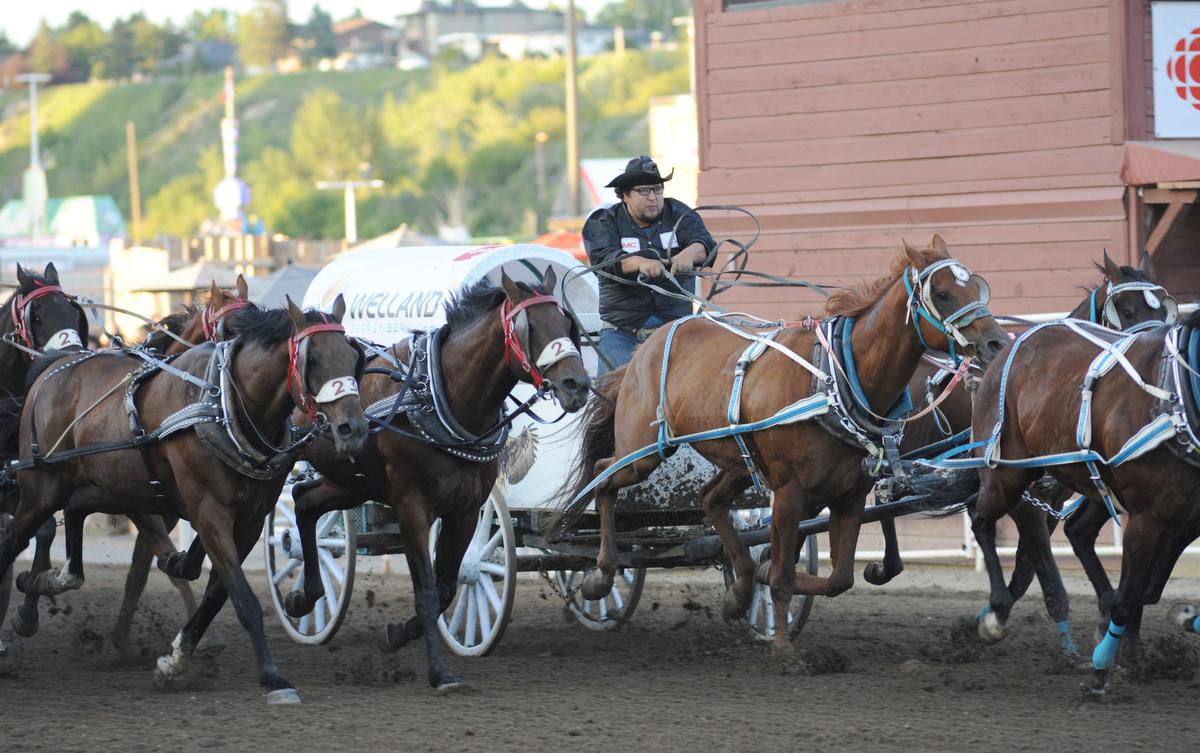 Opinions differ on how to handle animal safety at rodeo events, like Calgary Stampede's chuckwagon races