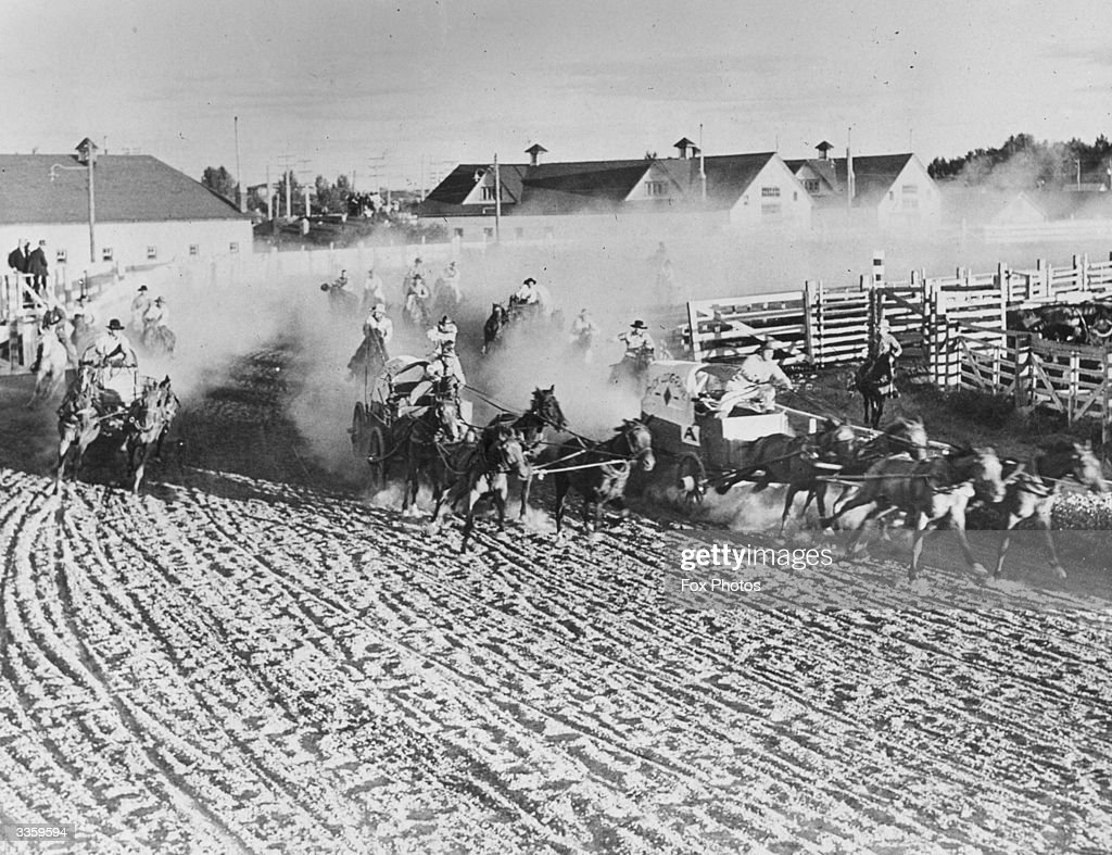 A chuck wagon race st the Calgary Stampede, Canada, which includes. News Photo