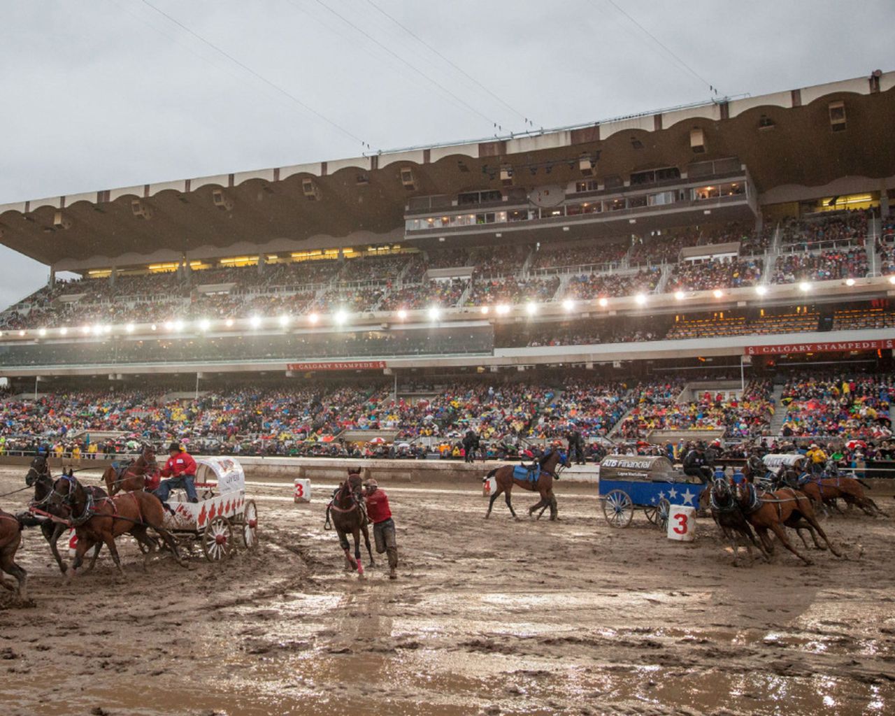 A guide to the 'chucks' at the Calgary Stampede