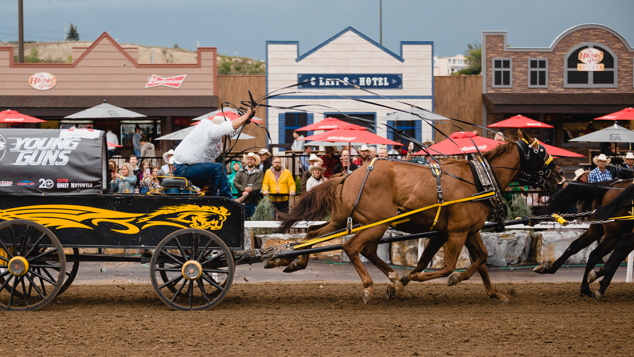 Every summer, there's a chance the Calgary Stampede's chuckwagon races will end tragically. Canada's National Observer: News & Analysis