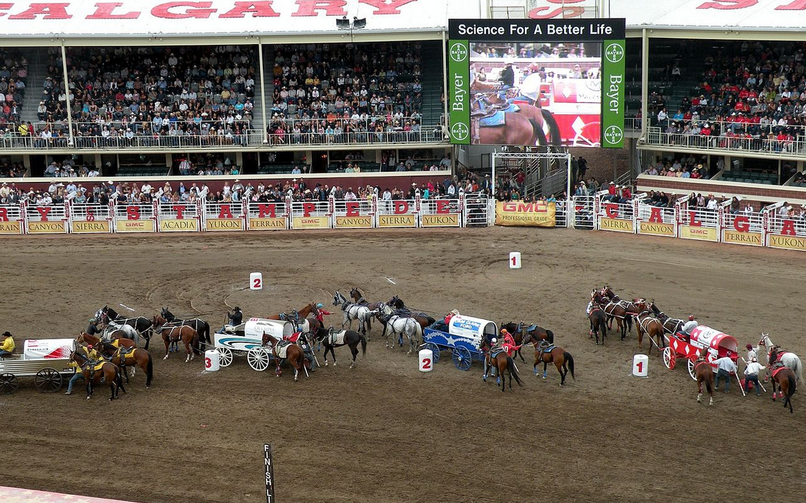 Equine Death Toll From 2015 Calgary Stampede Now Up to 4
