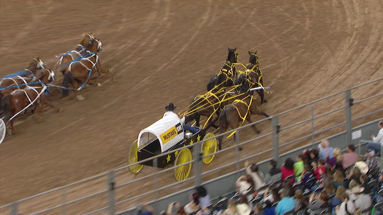 Driver injured in fall during chuckwagon races at Rodeo Houston